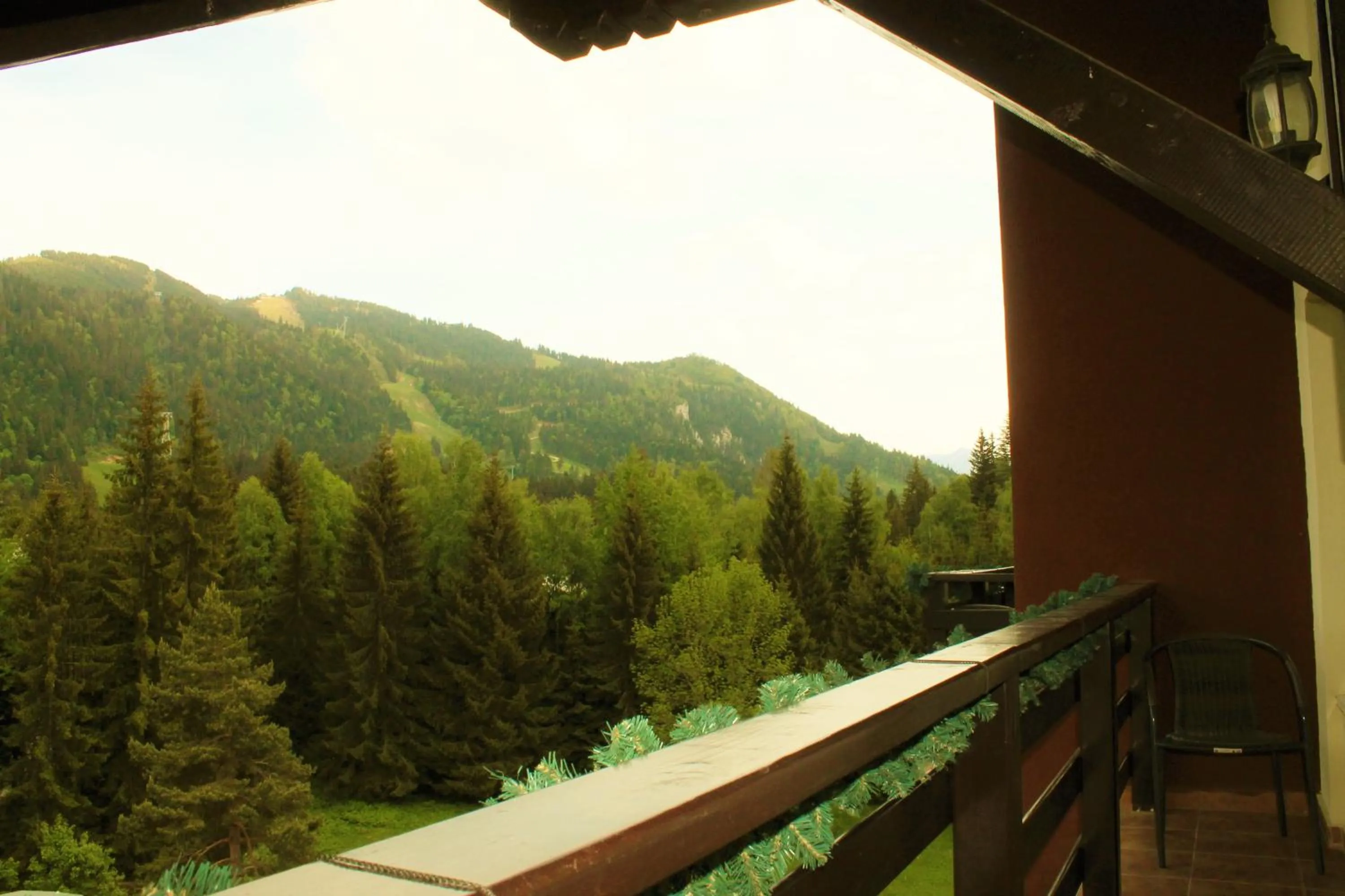 Natural landscape in Hotel Crisalpin