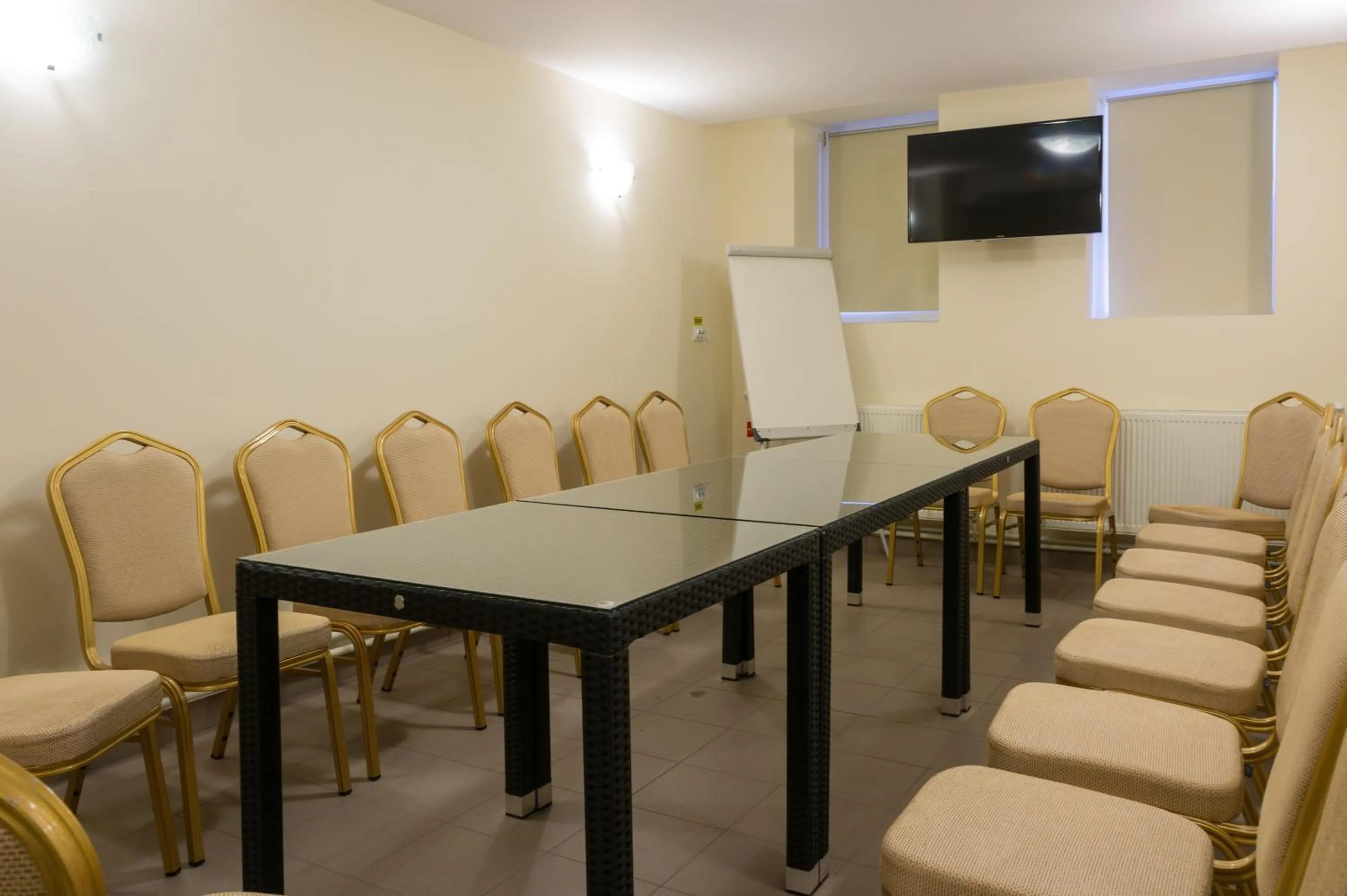 Business facilities in Hotel Crisalpin