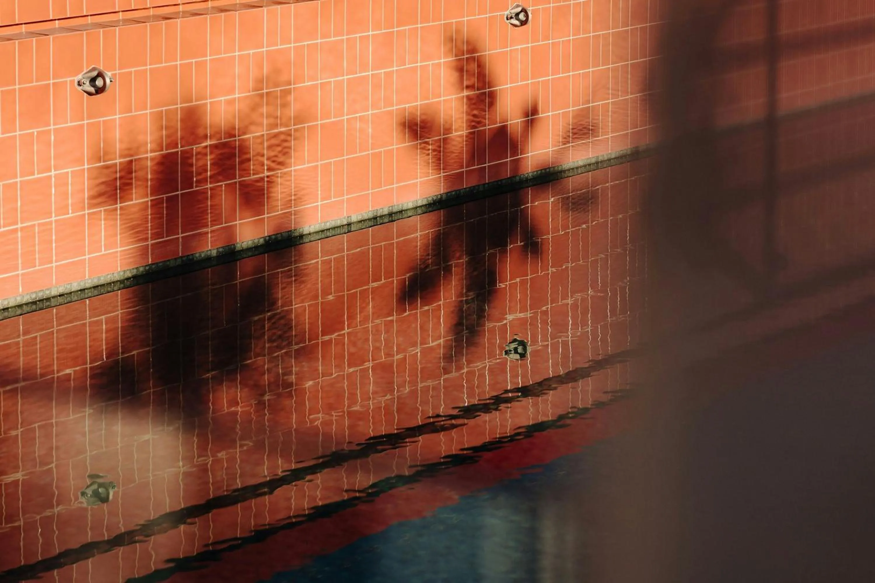 Swimming pool in AC Hotel by Marriott Nice