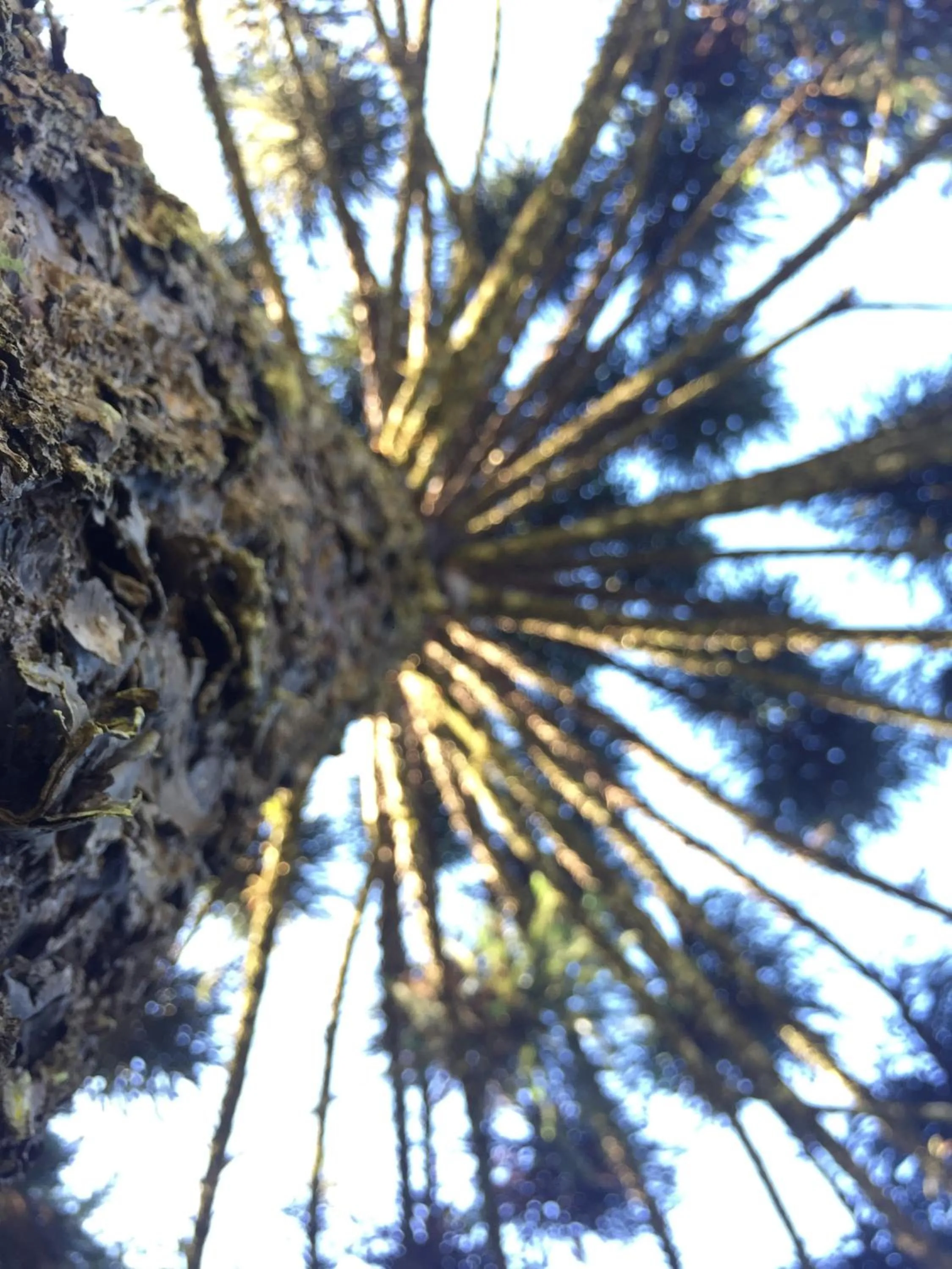 Samuara Hotel Caxias do Sul