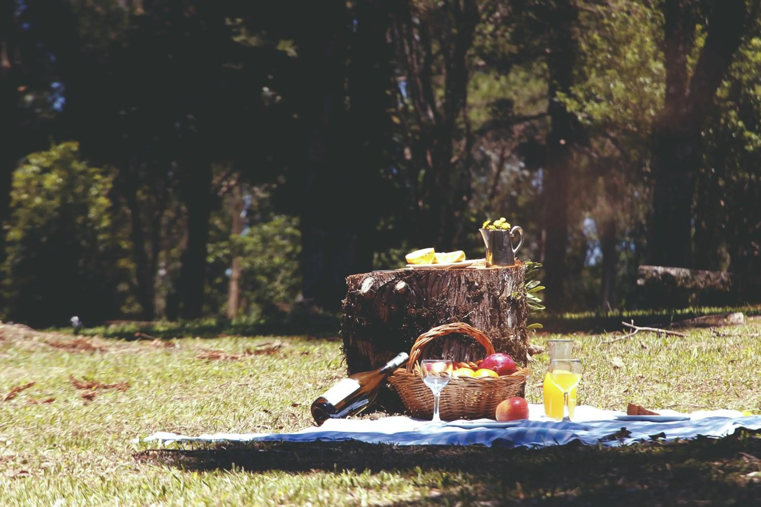 Day in Samuara Hotel Caxias do Sul