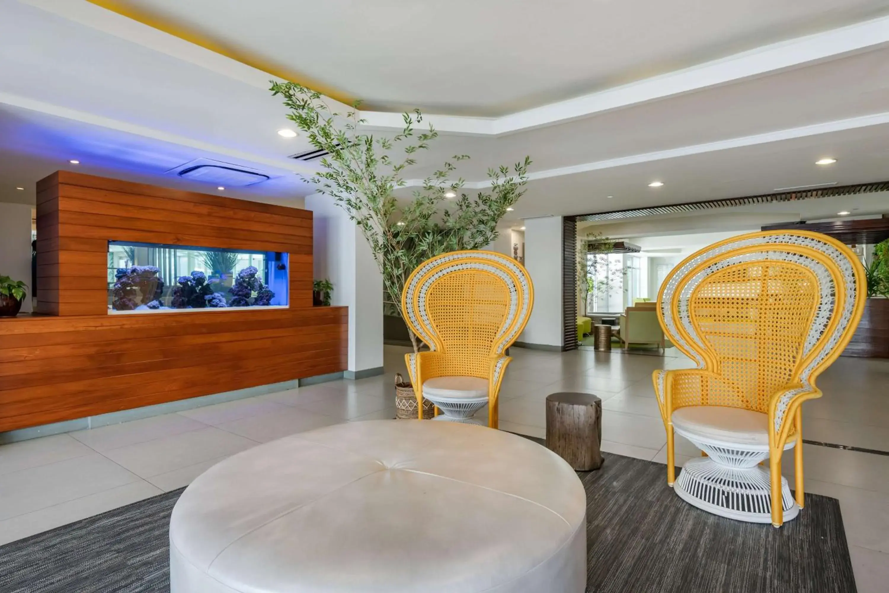Lobby or reception in Condado Palm Inn San Juan, Tapestry Collection by Hilton Lobby or reception in Condado Palm Inn San Juan, Tapestry Collection by Hilton