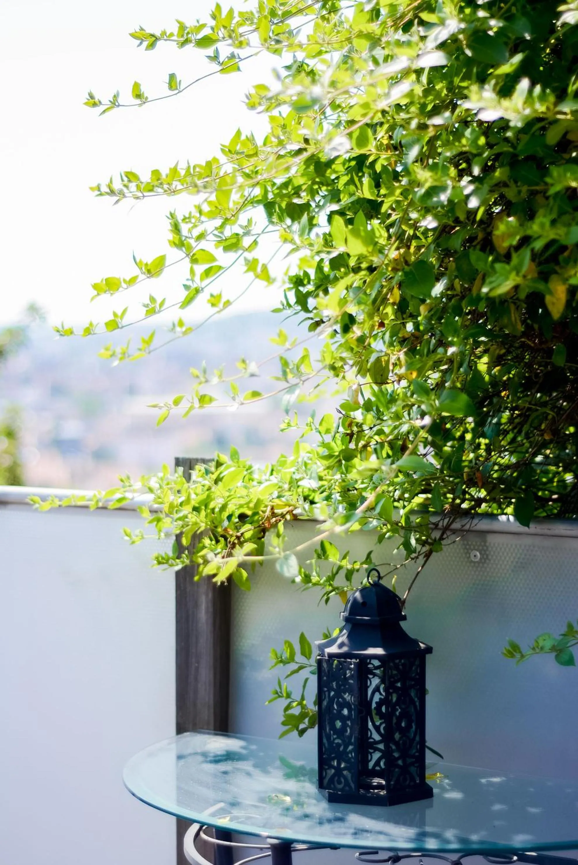 Patio in Meublé prestige