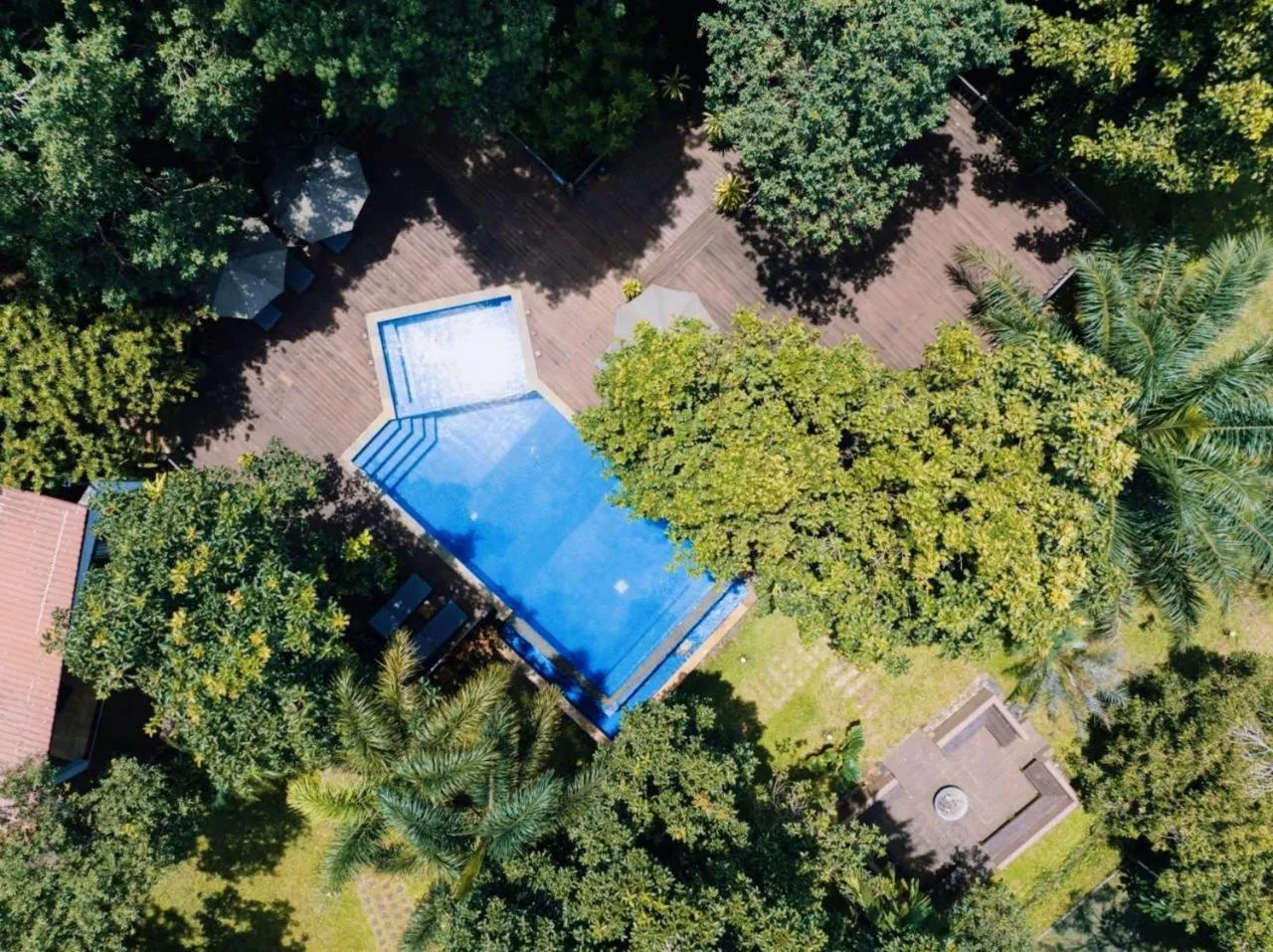 Swimming pool in Mayura Hill Resort