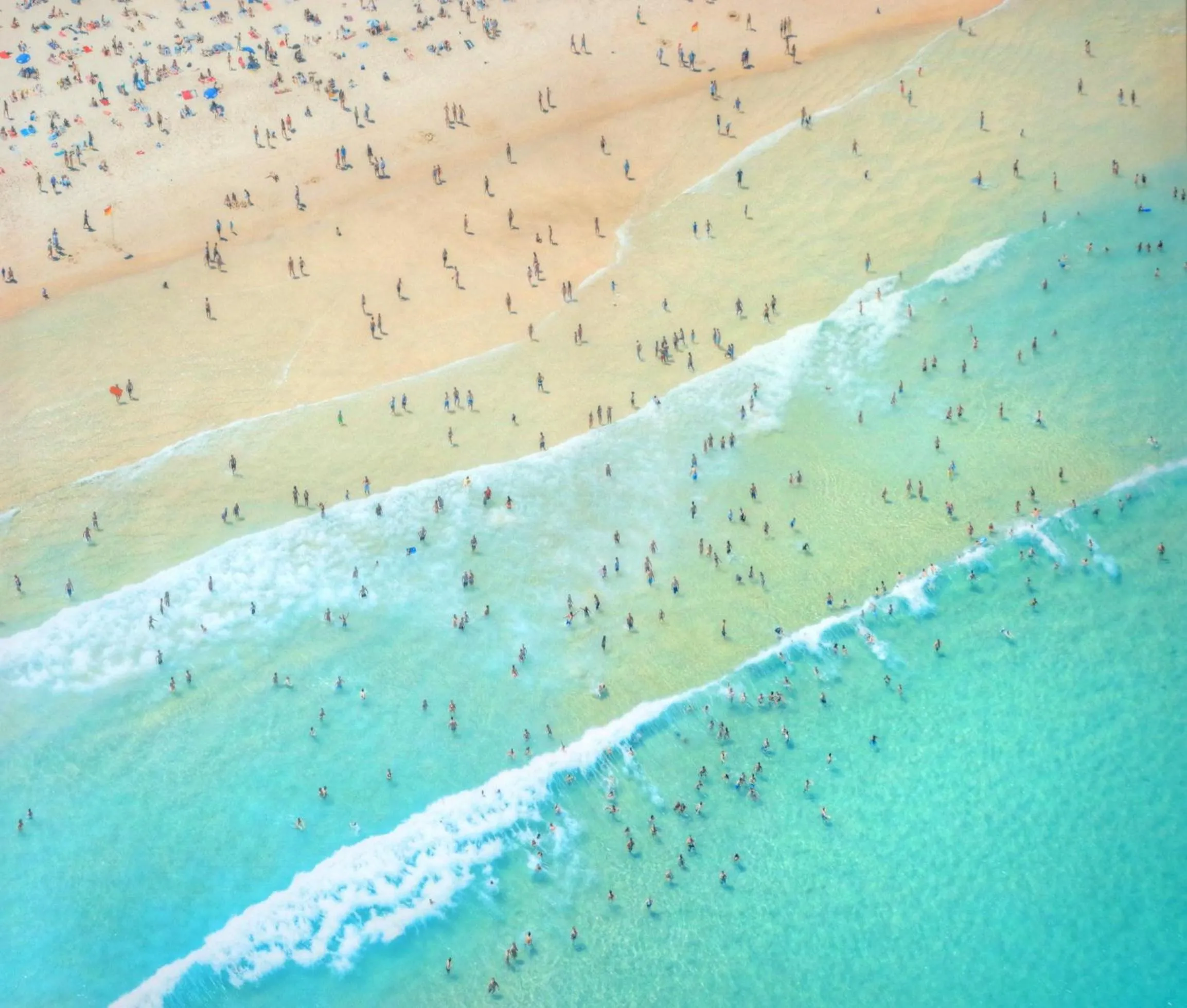 The Dunes Cotton Tree