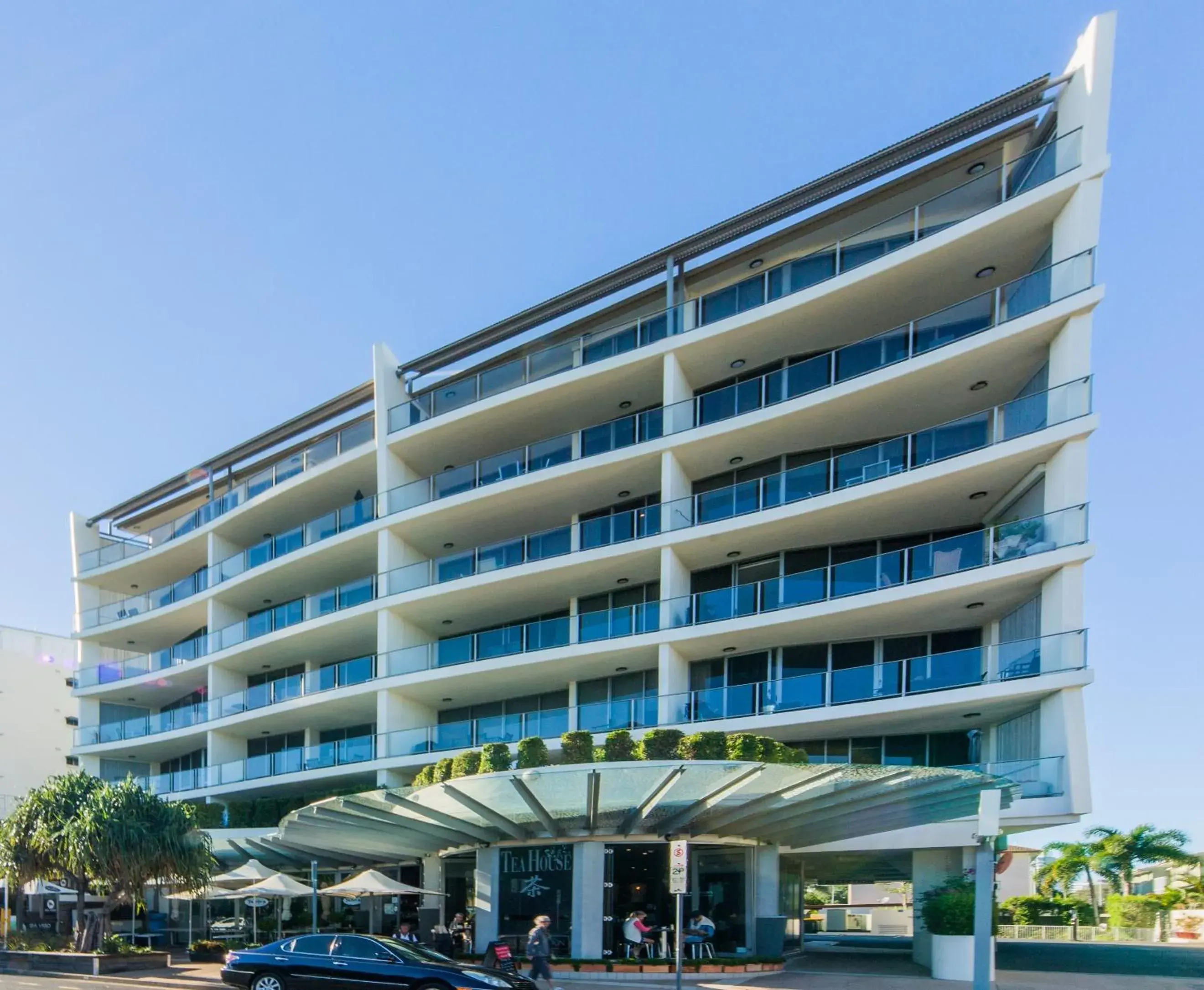 The Dunes Cotton Tree The Dunes Cotton Tree