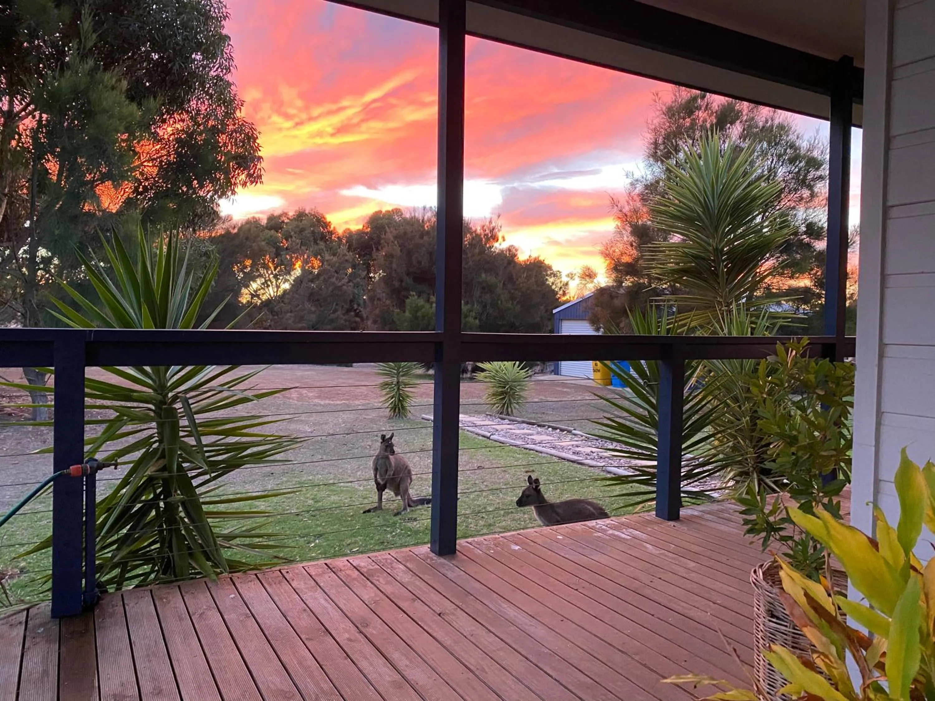 Kangaroo Island Cabins