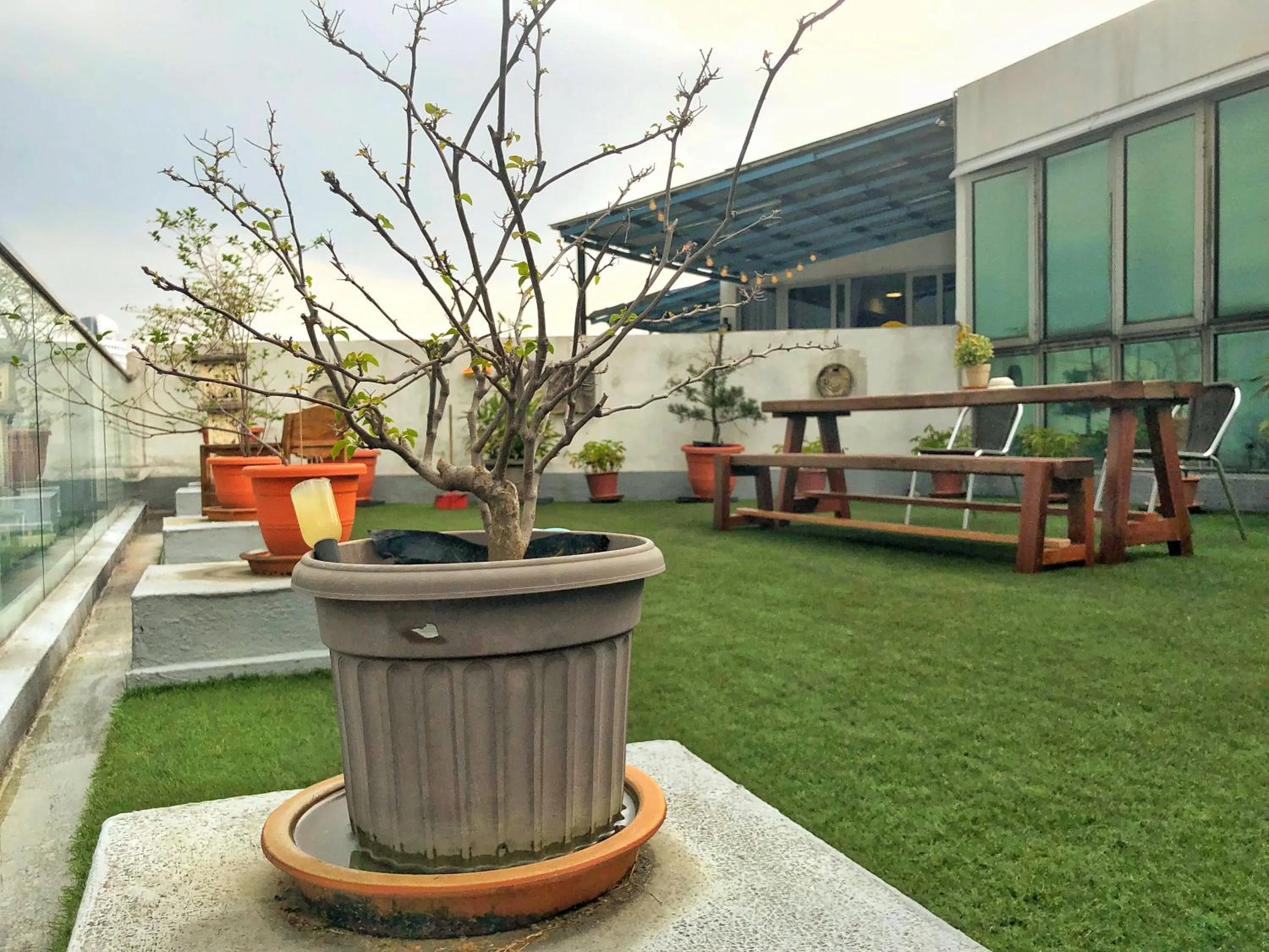 Balcony/Terrace in Penthouse on 34 - The Highest Unit and Best Views in Regalia & Private Rooftop Terrace