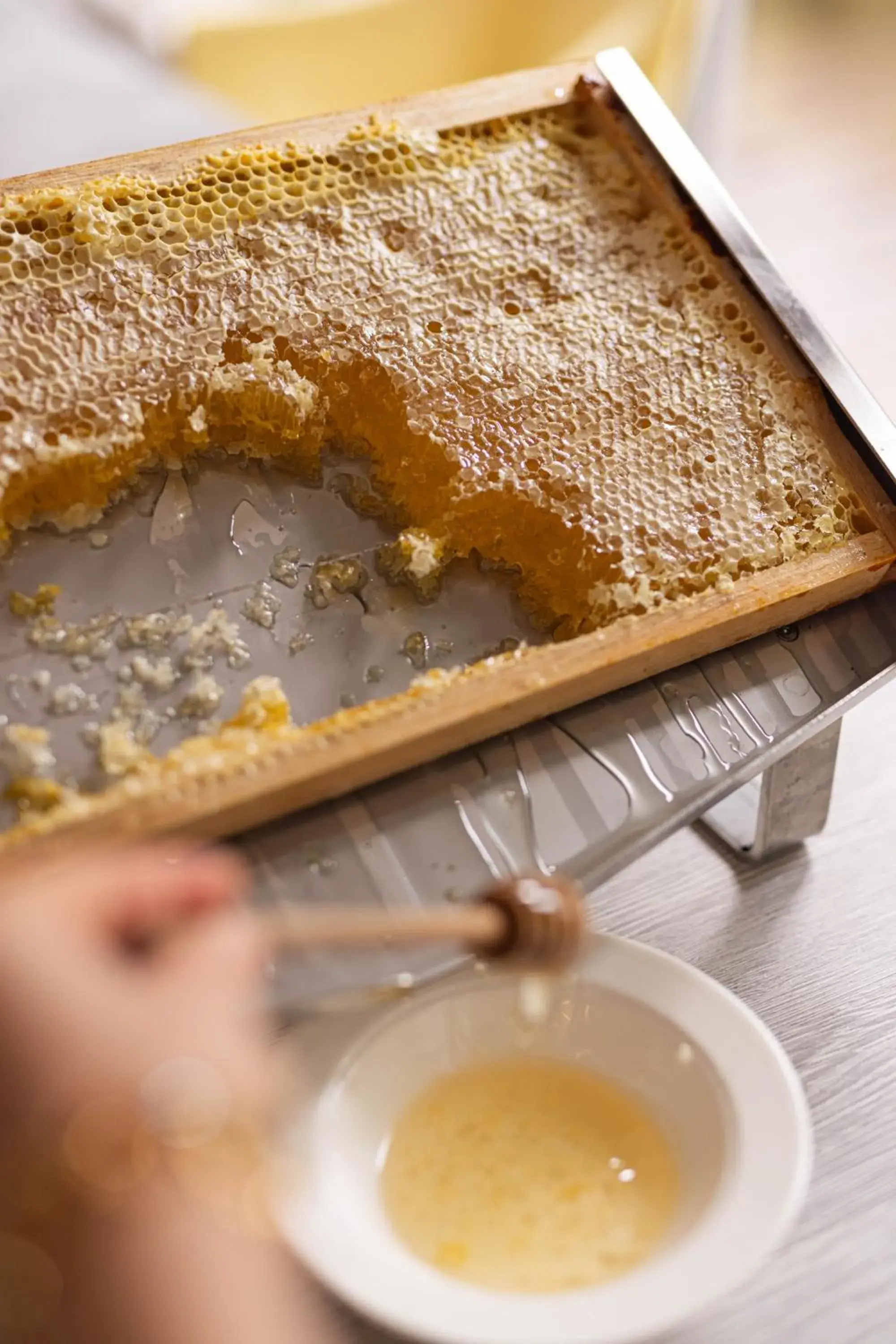 Breakfast in Cézanne Hôtel Breakfast in Cézanne Hôtel