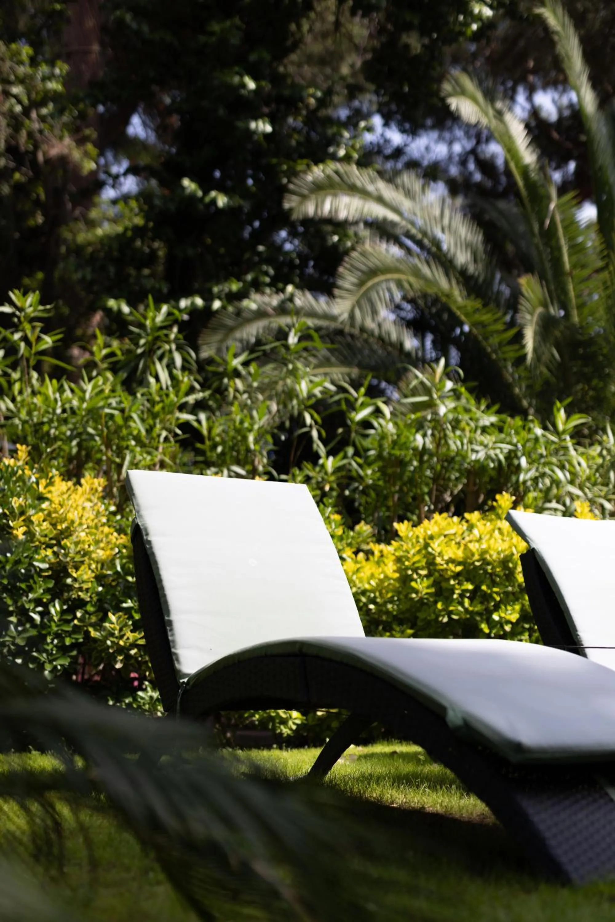 Garden in Cézanne Hôtel