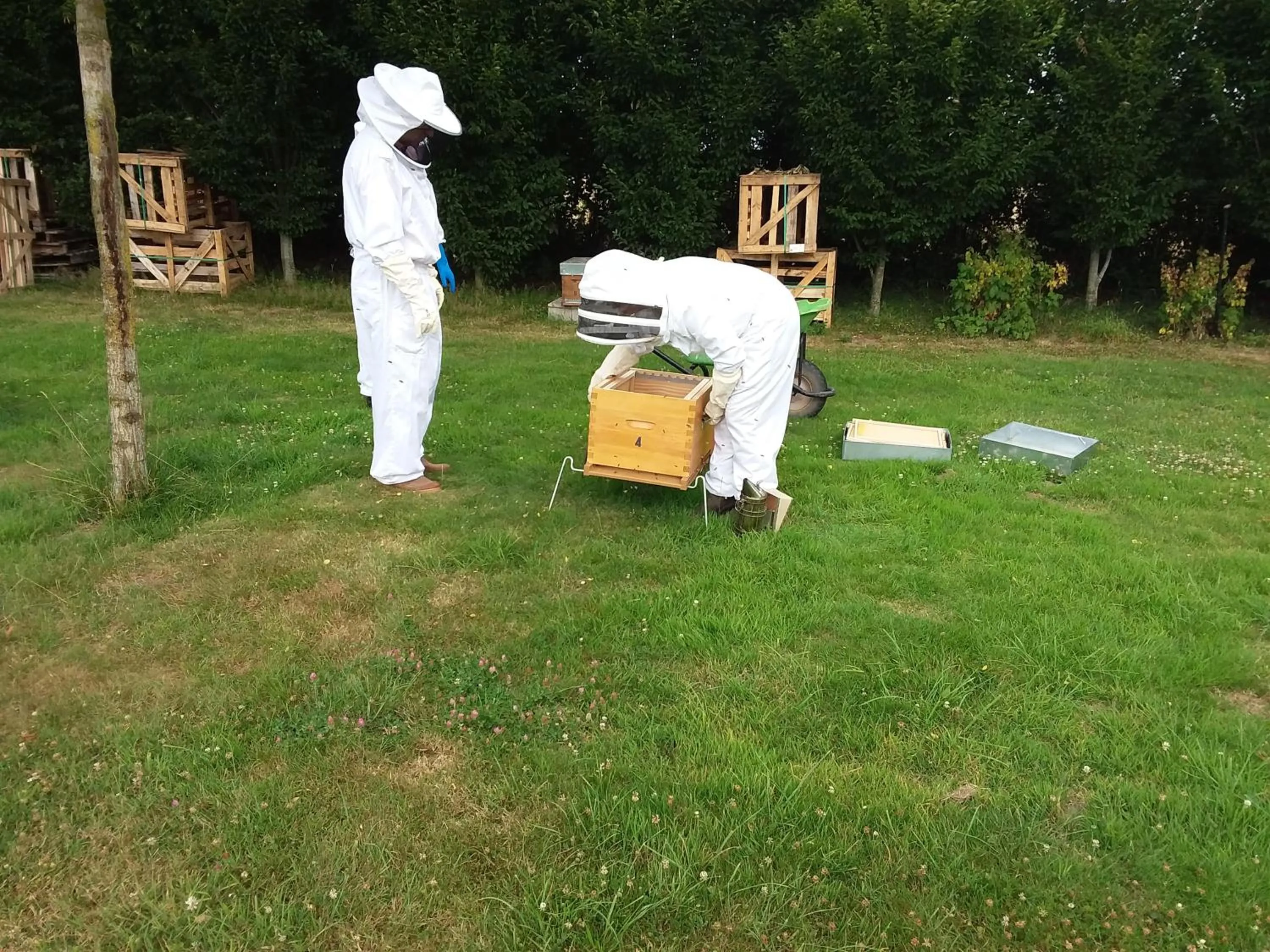 Activities in LA CHARMERAIE