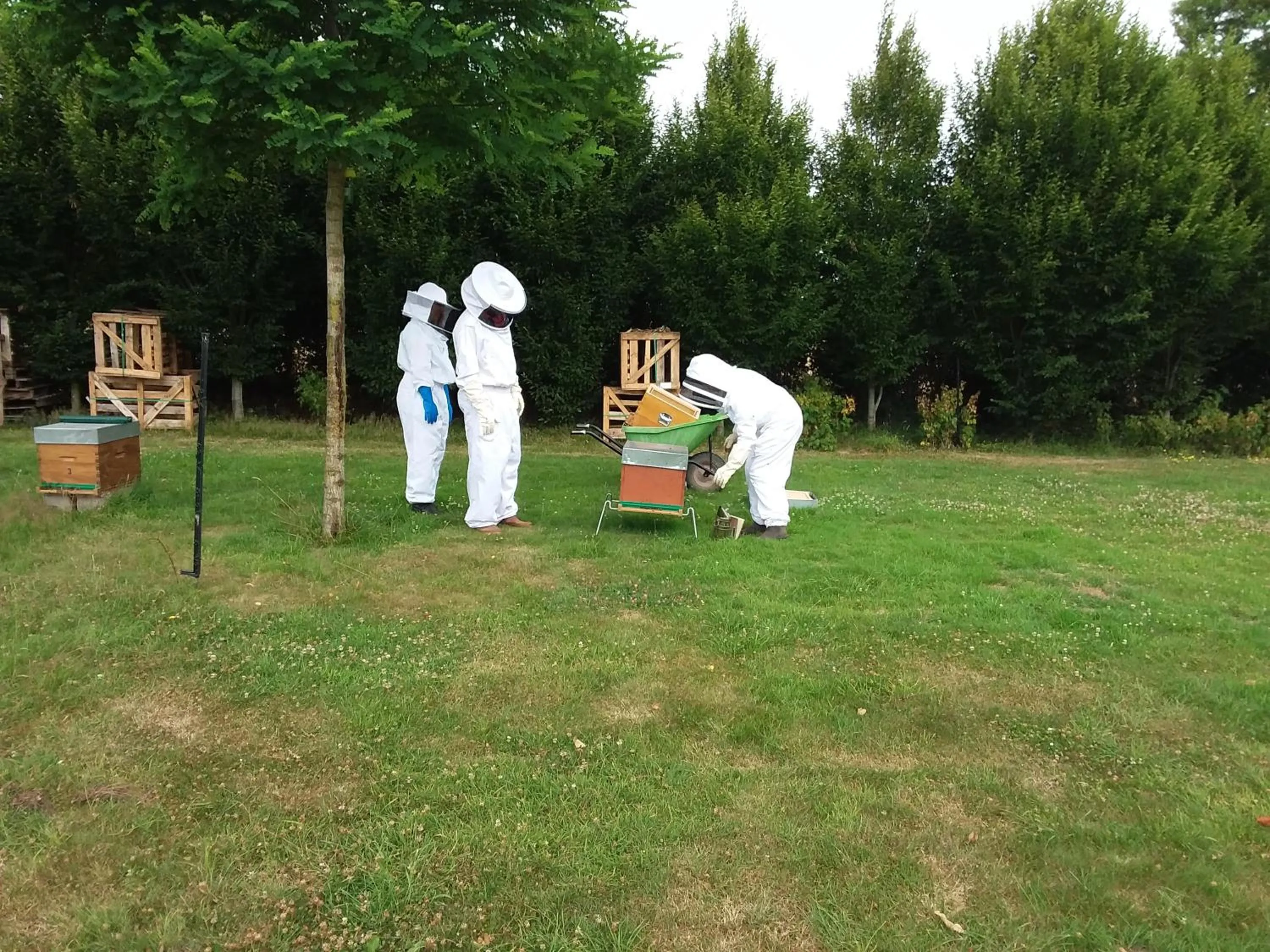 Activities in LA CHARMERAIE