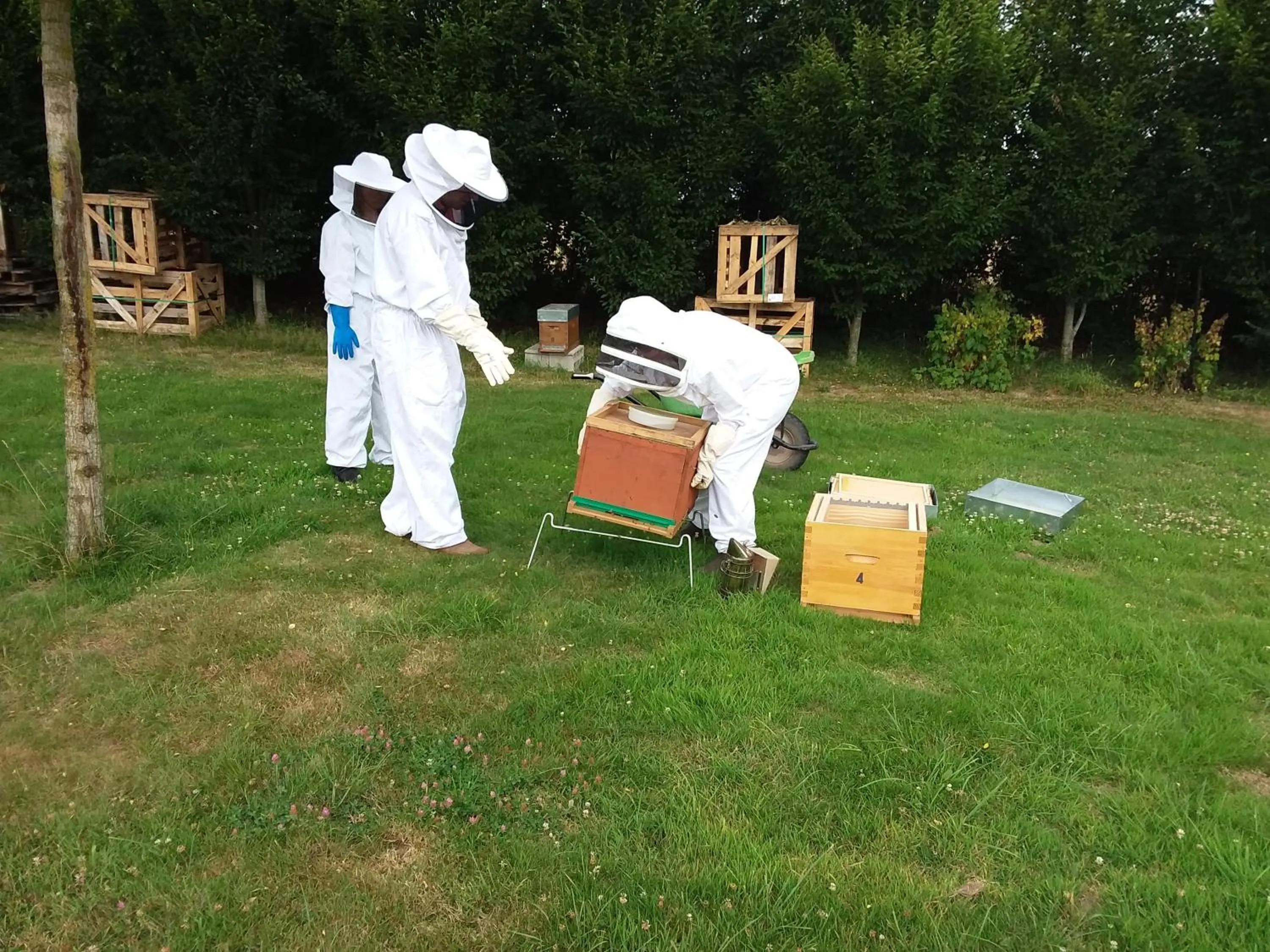 Activities in LA CHARMERAIE