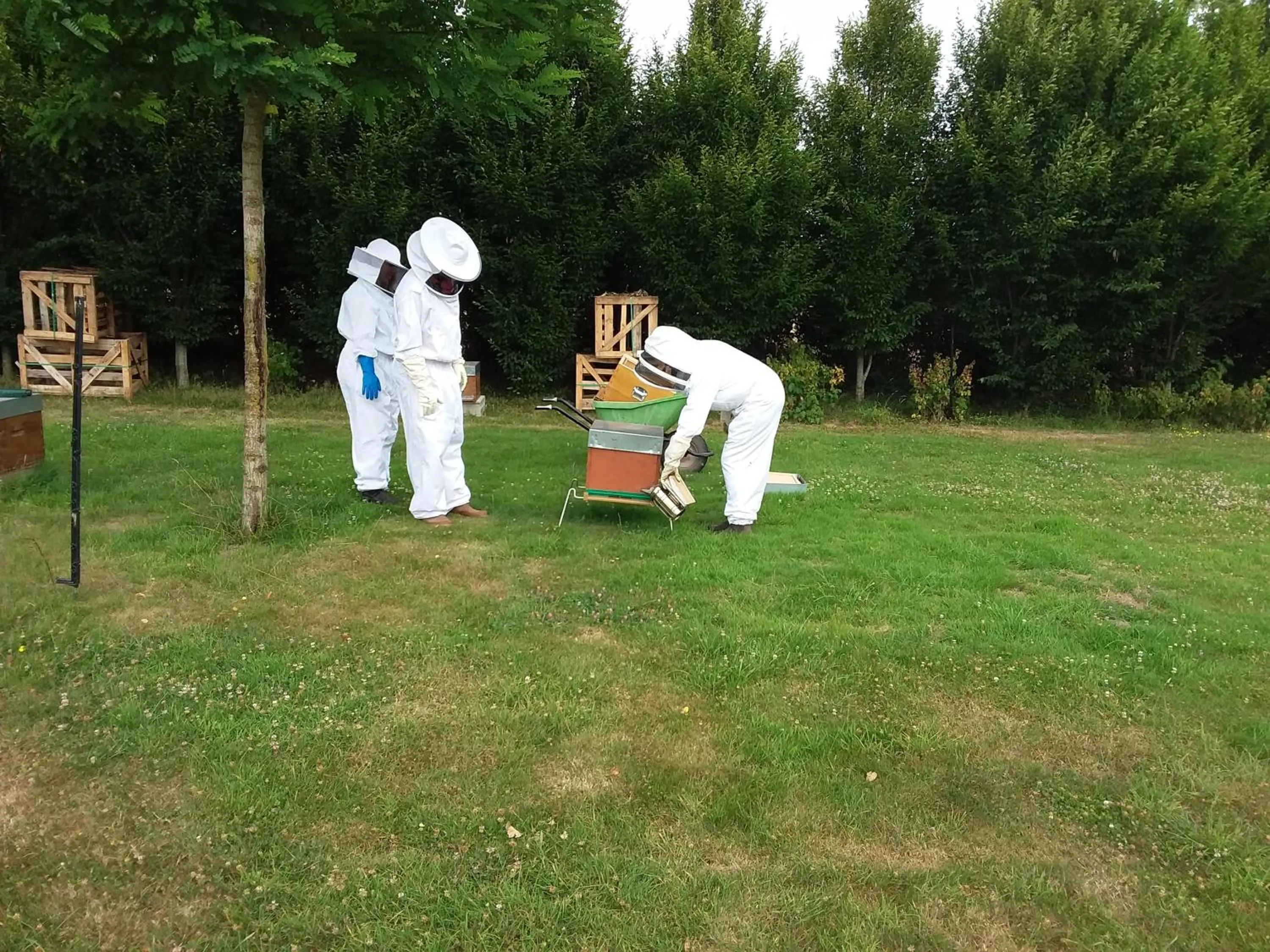 Activities in LA CHARMERAIE