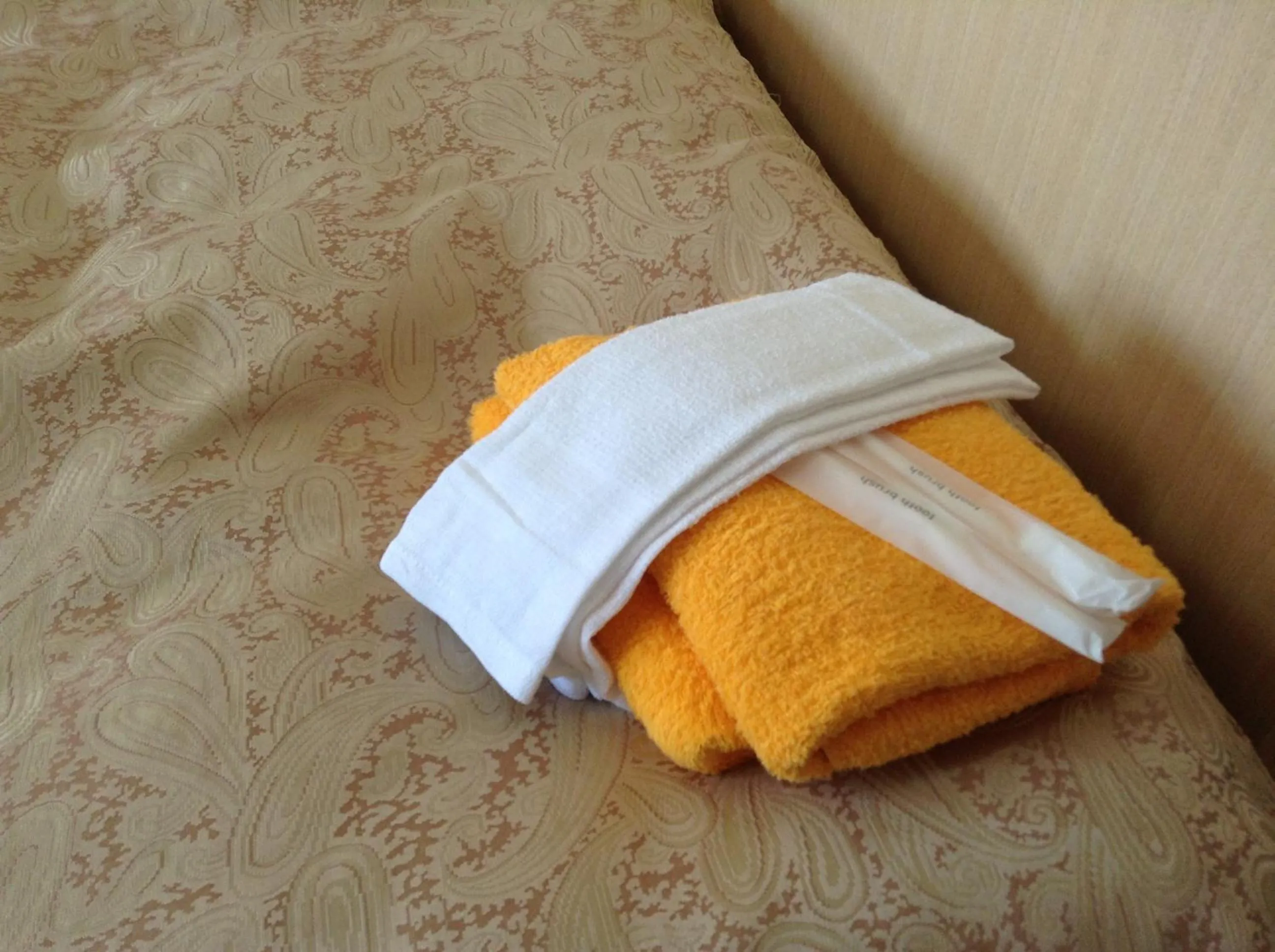 Area and facilities in Happokan