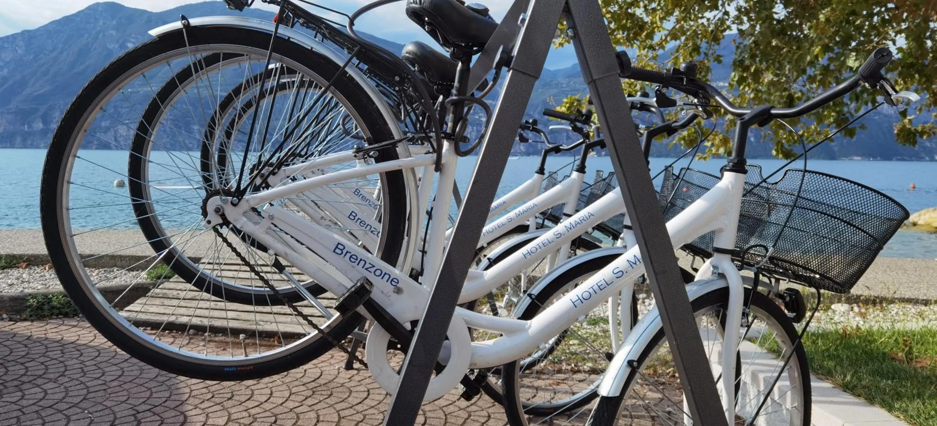 Cycling in Hotel Nike