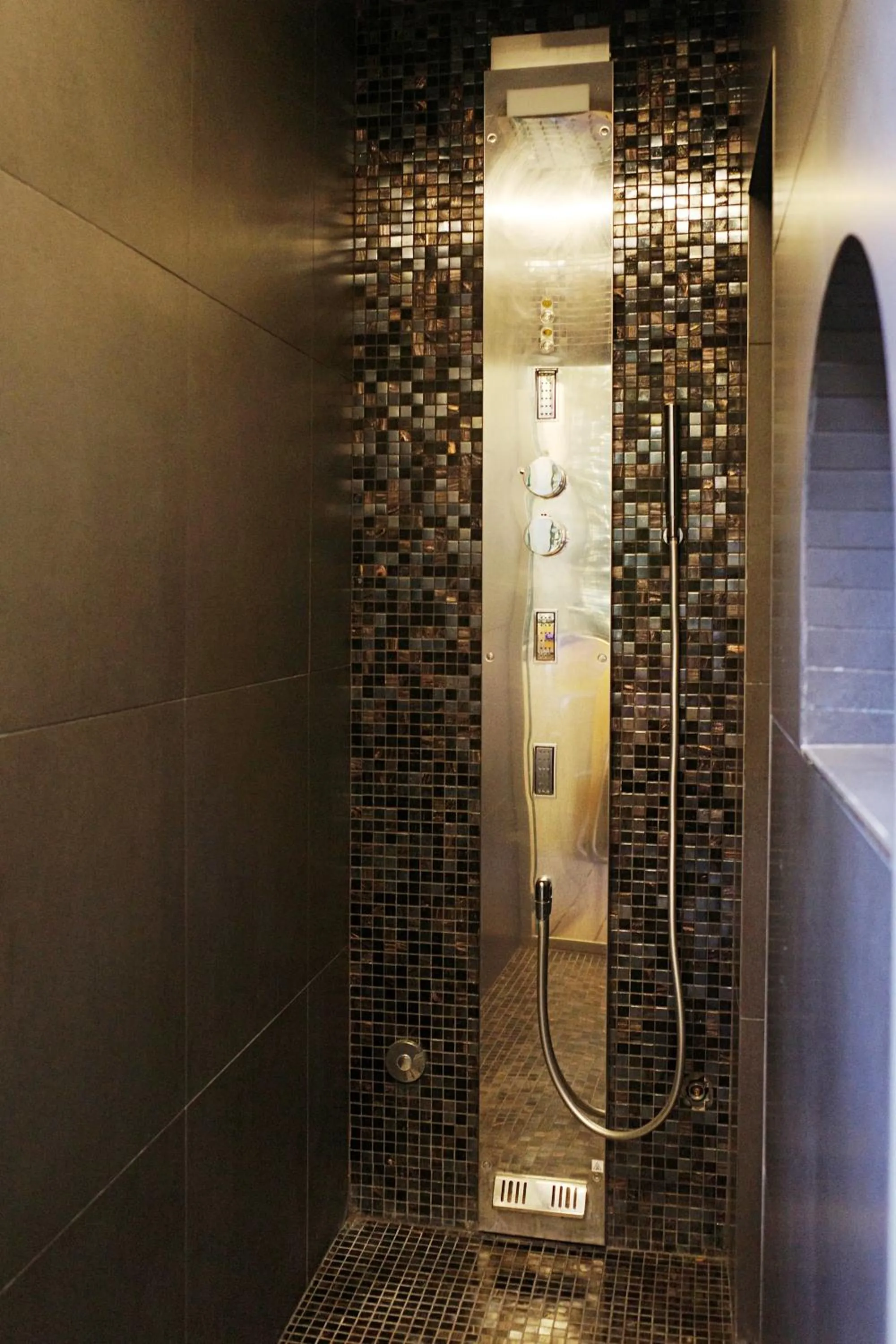 Shower in PORTA NUOVA SUITES