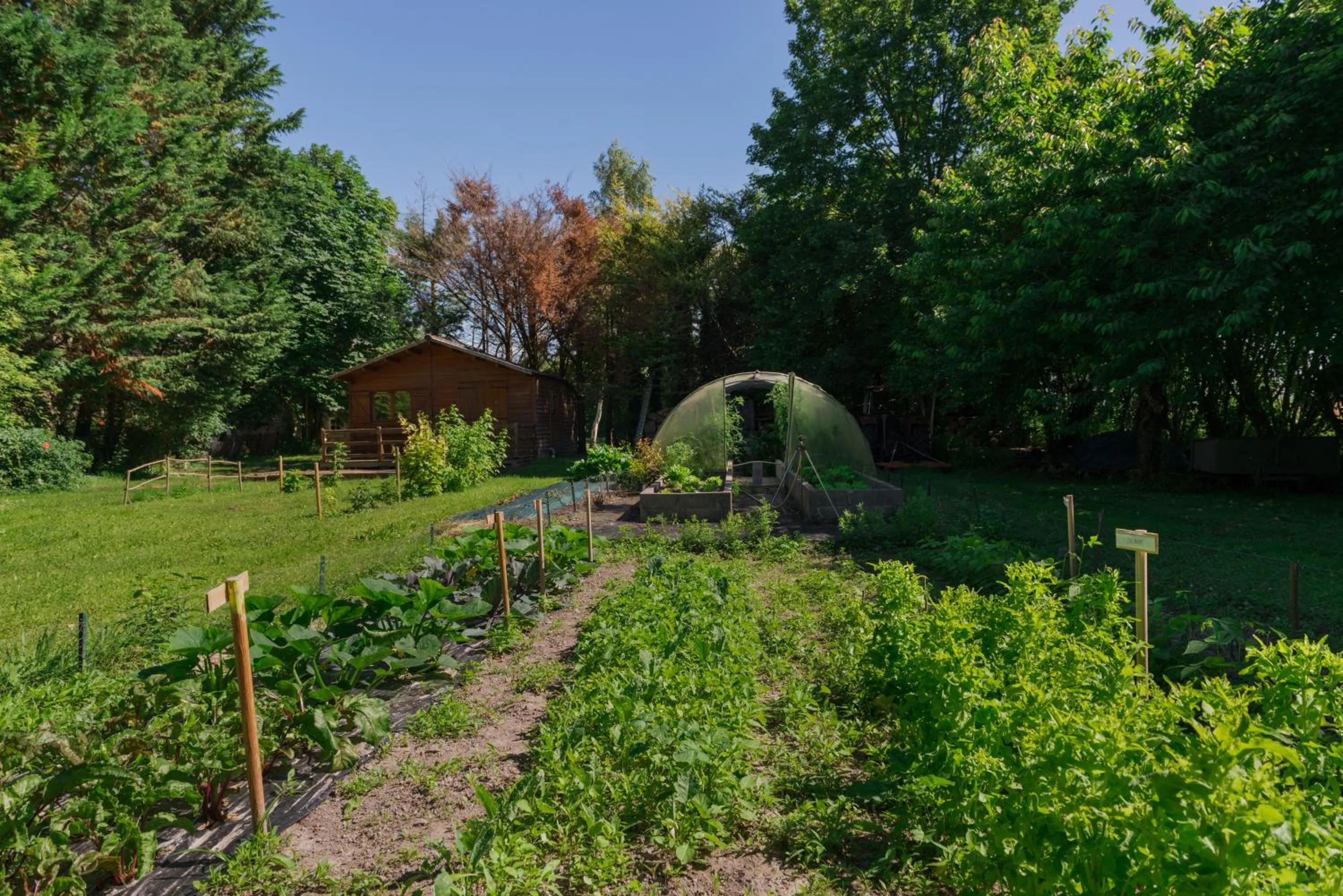 Spring in Manoir de la Roche Torin, The Originals Relais