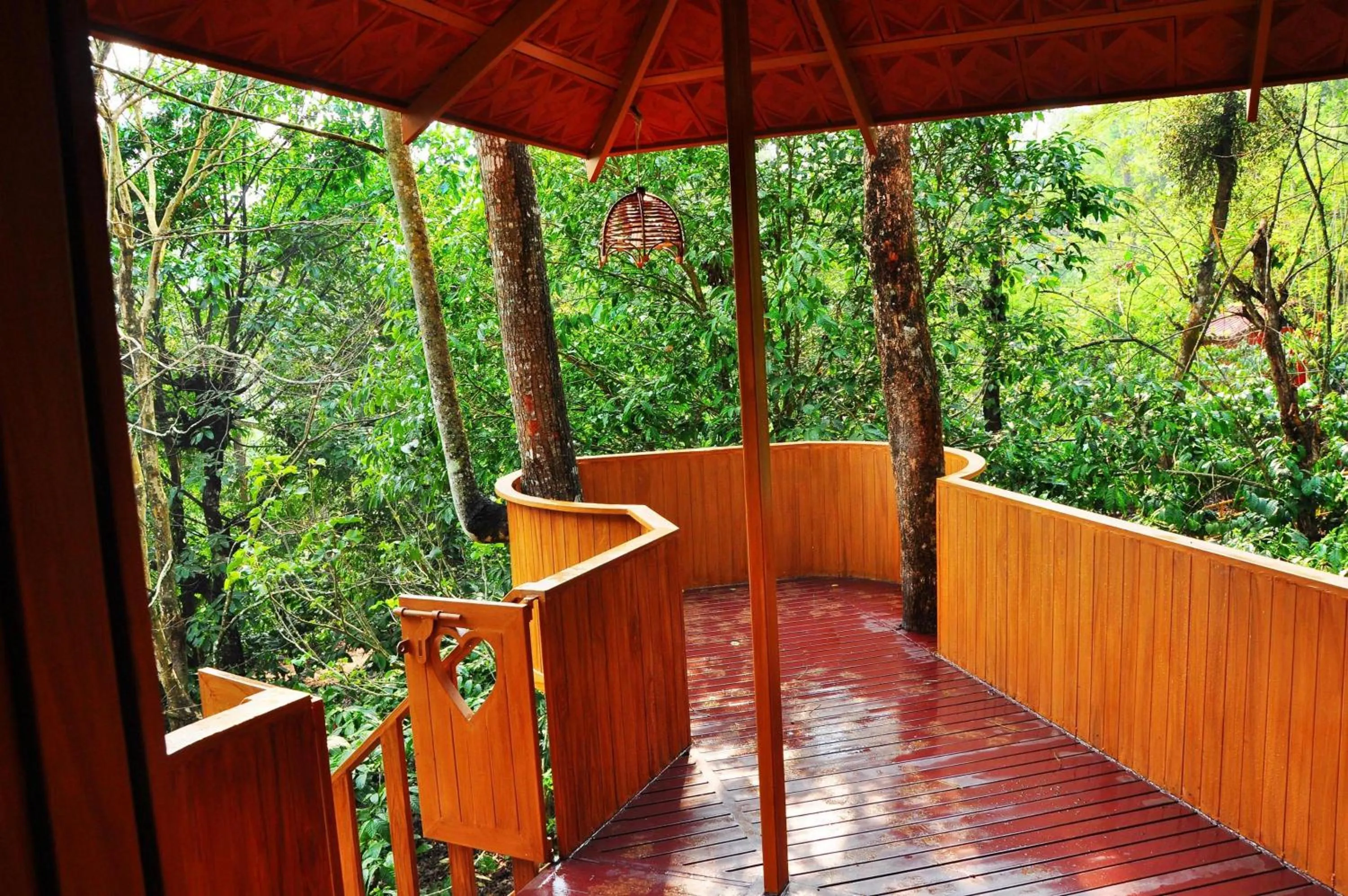 View (from property/room) in Planet Green Plantation Resorts, Wayanad, Kerala