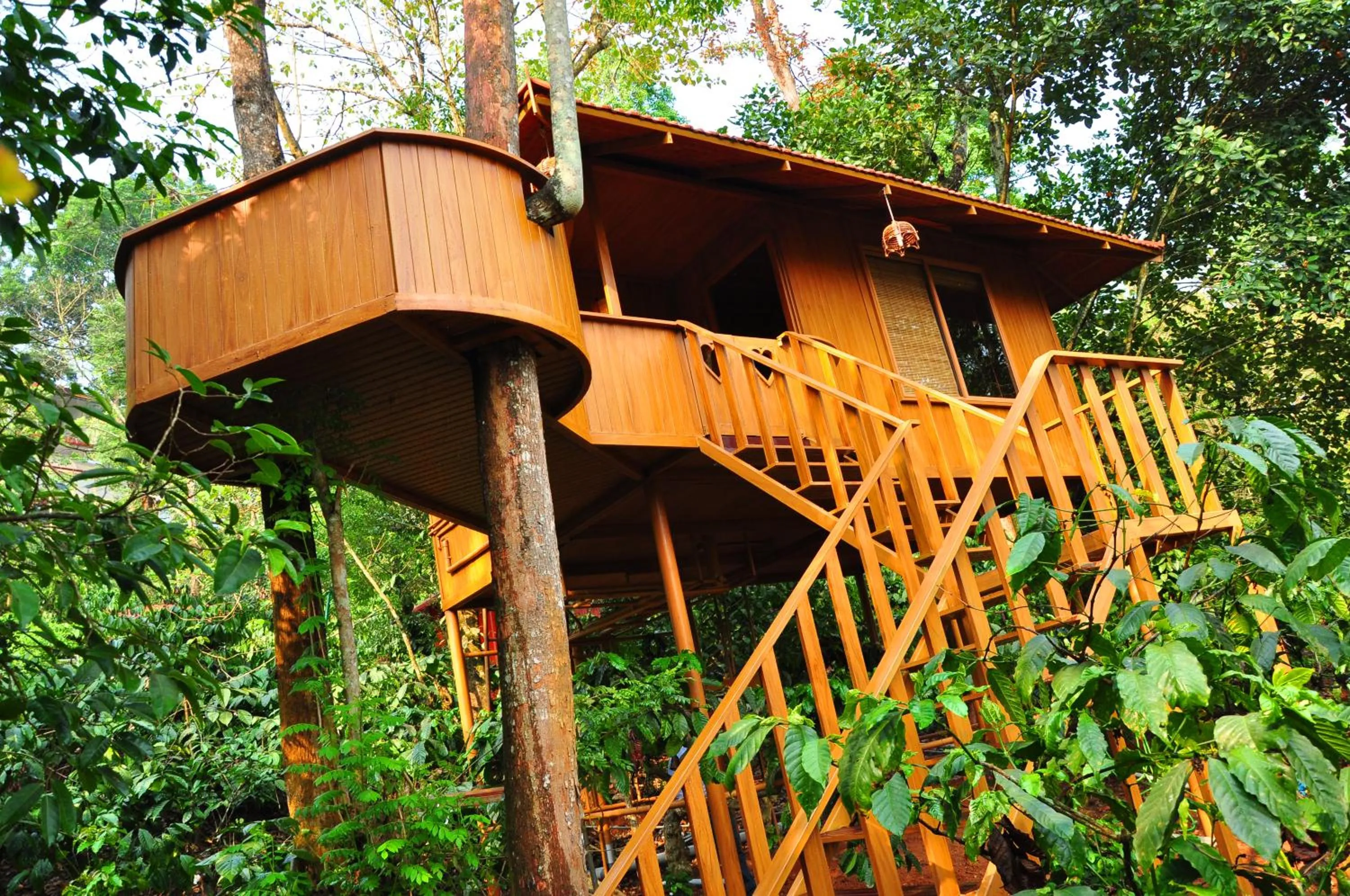 Property building in Planet Green Plantation Resorts, Wayanad, Kerala