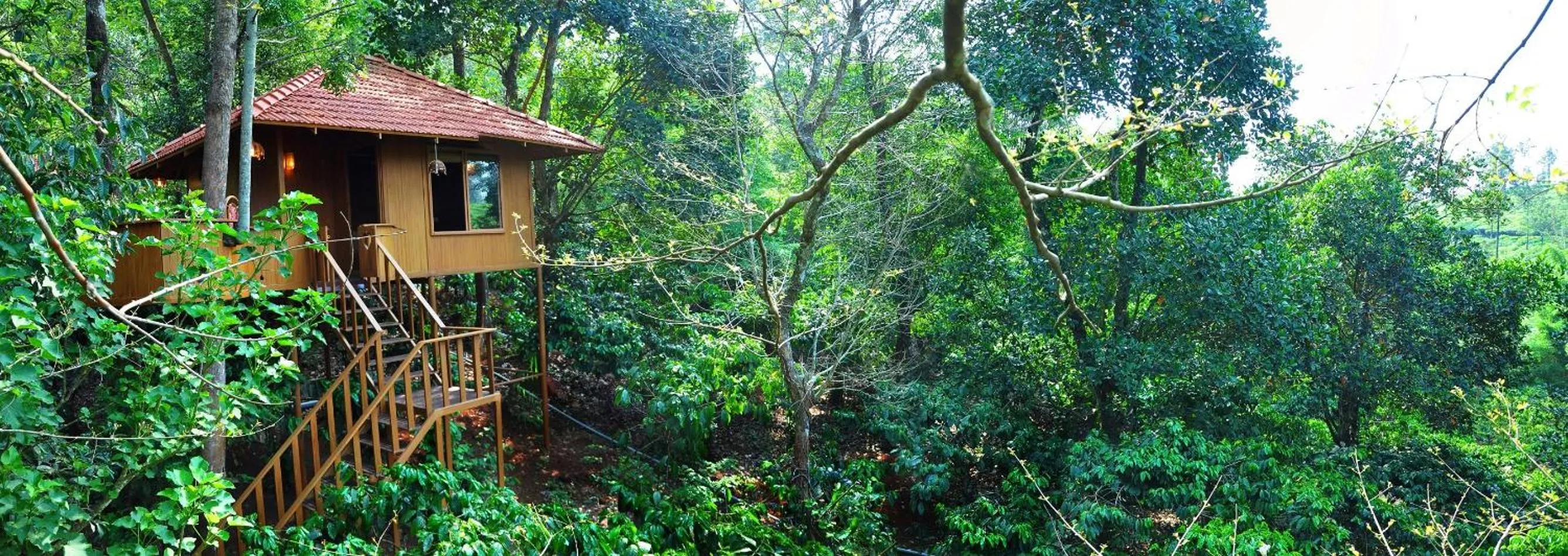 Property building in Planet Green Plantation Resorts, Wayanad, Kerala