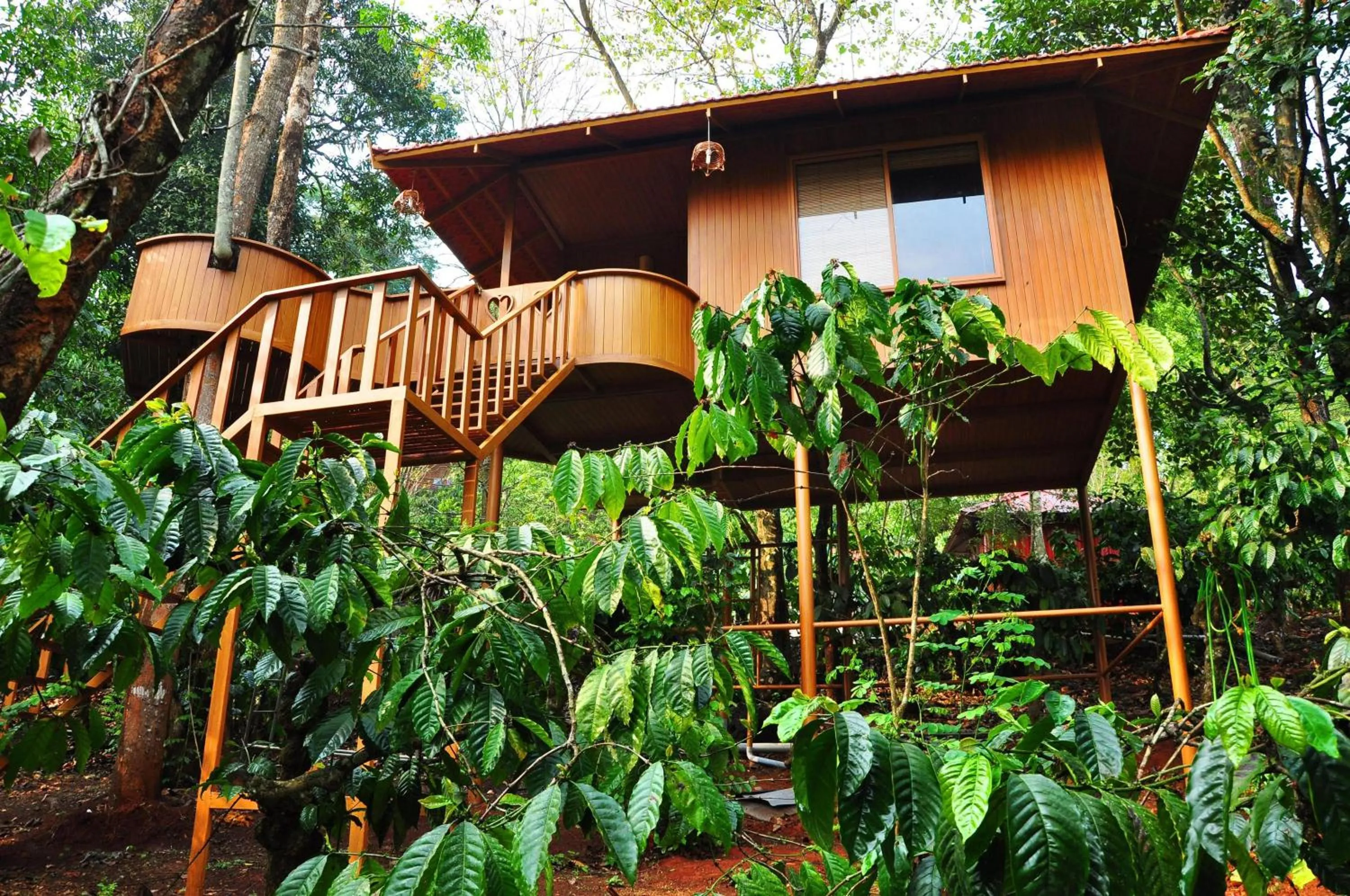 Planet Green Plantation Resorts, Wayanad, Kerala