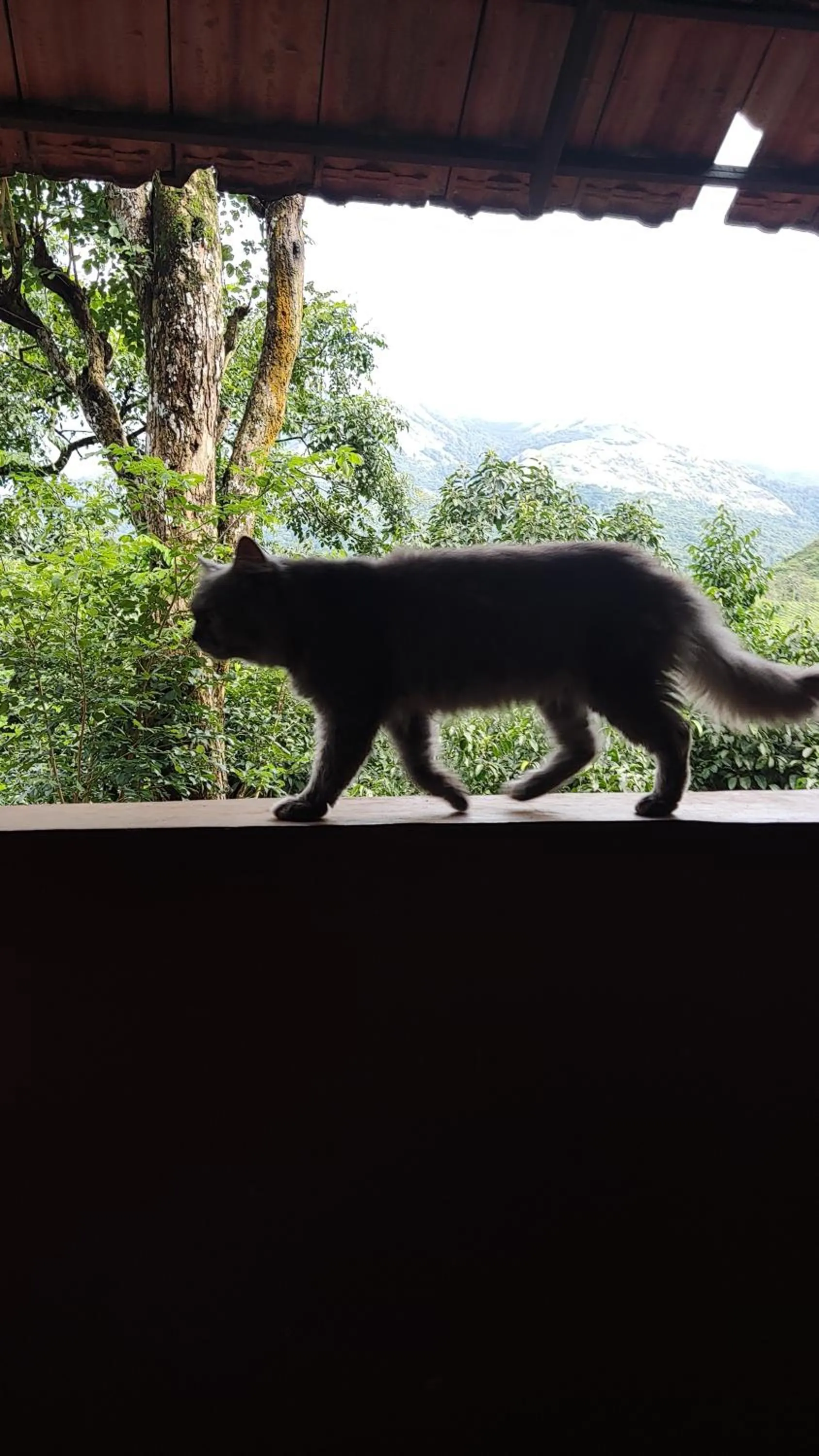 Other in Planet Green Plantation Resorts, Wayanad, Kerala