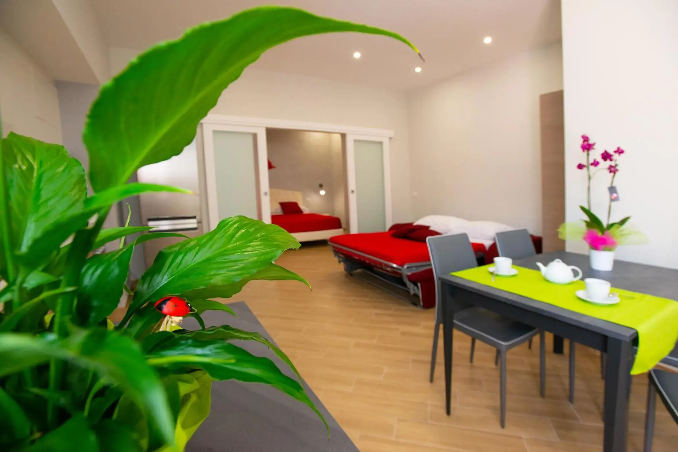 Family Studio in b&b Rita, nel cuore del Salento Family Studio in b&b Rita, nel cuore del Salento