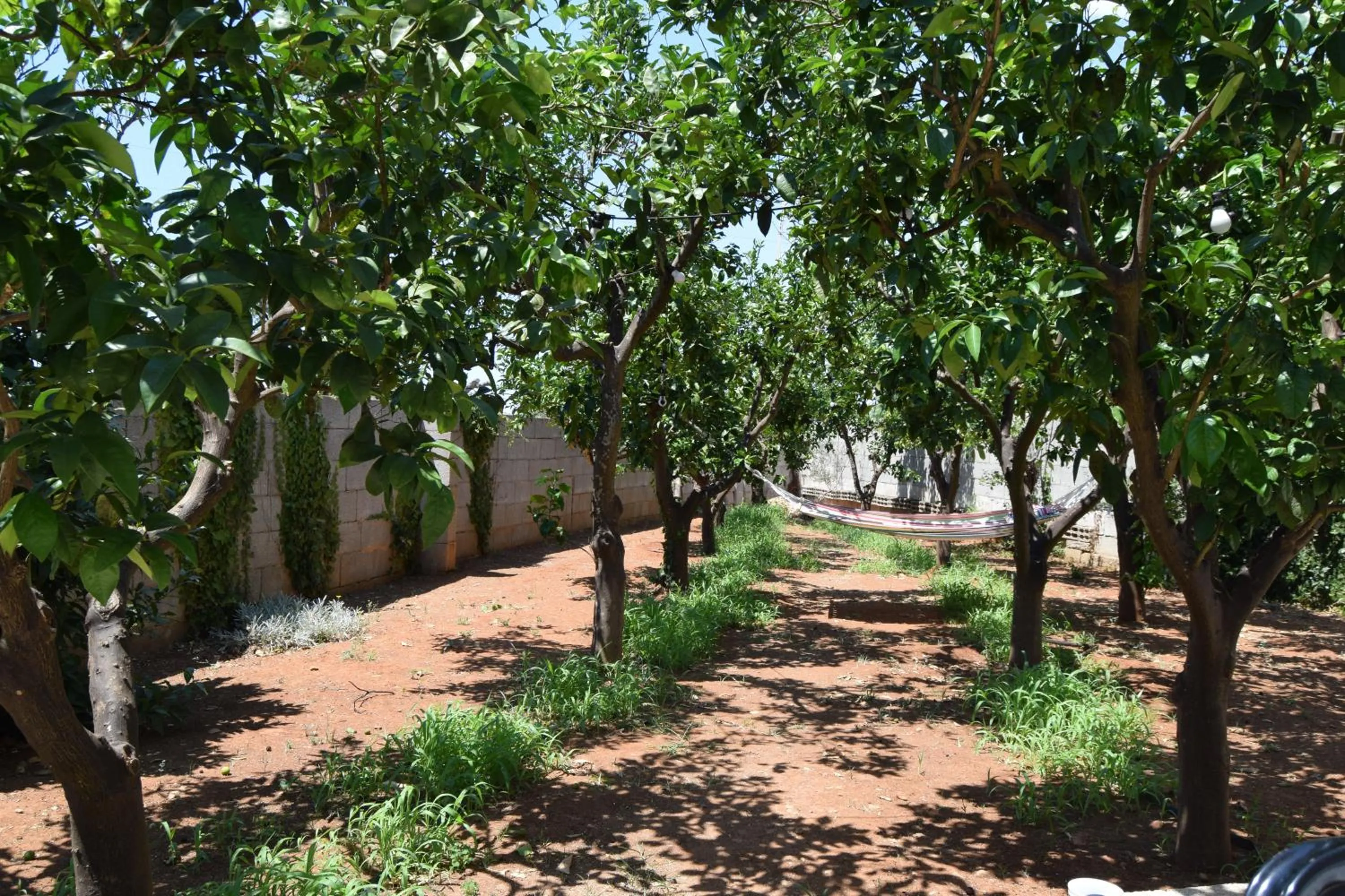 Garden in santa potenza