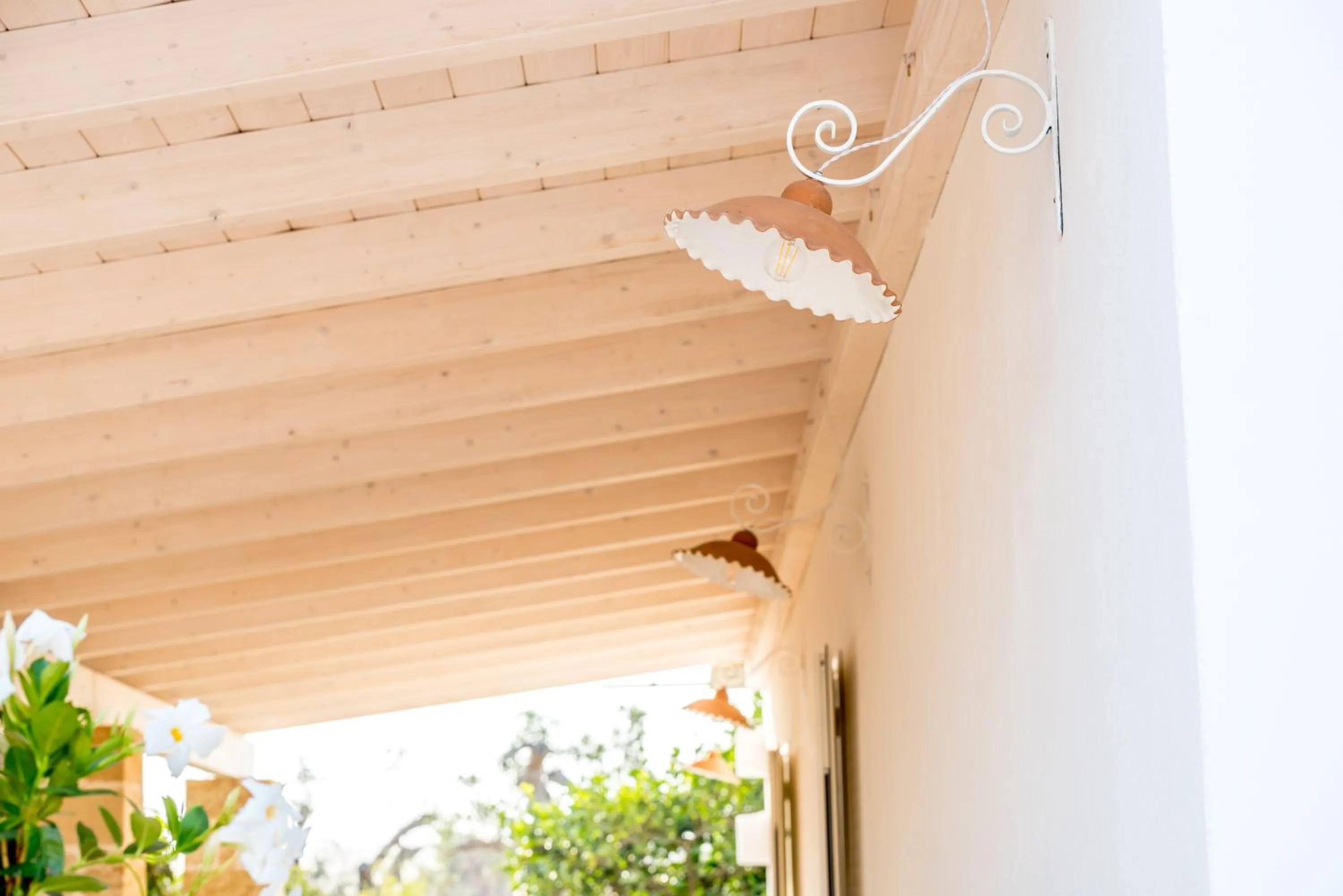 Garden in santa potenza