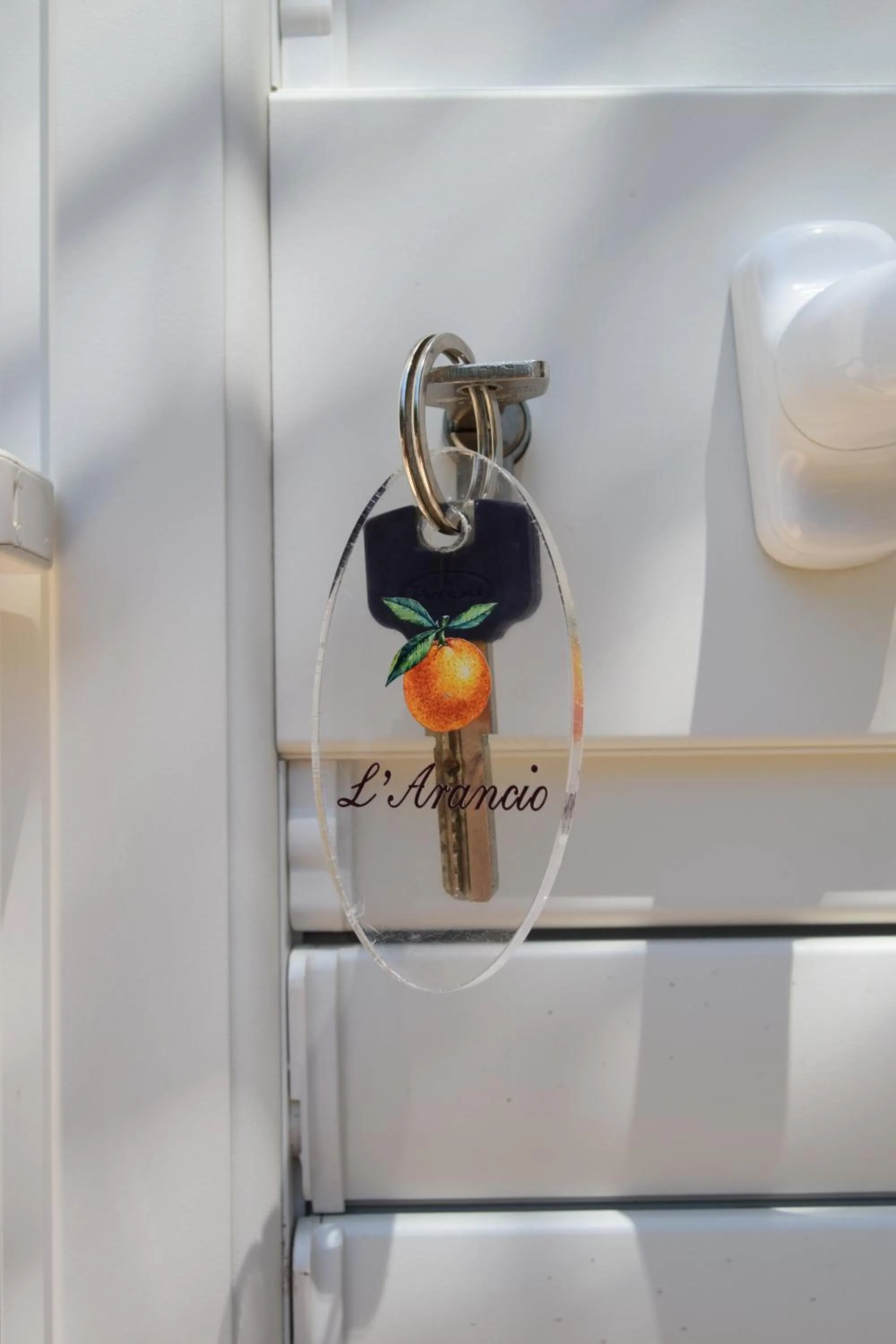 Property logo or sign in santa potenza