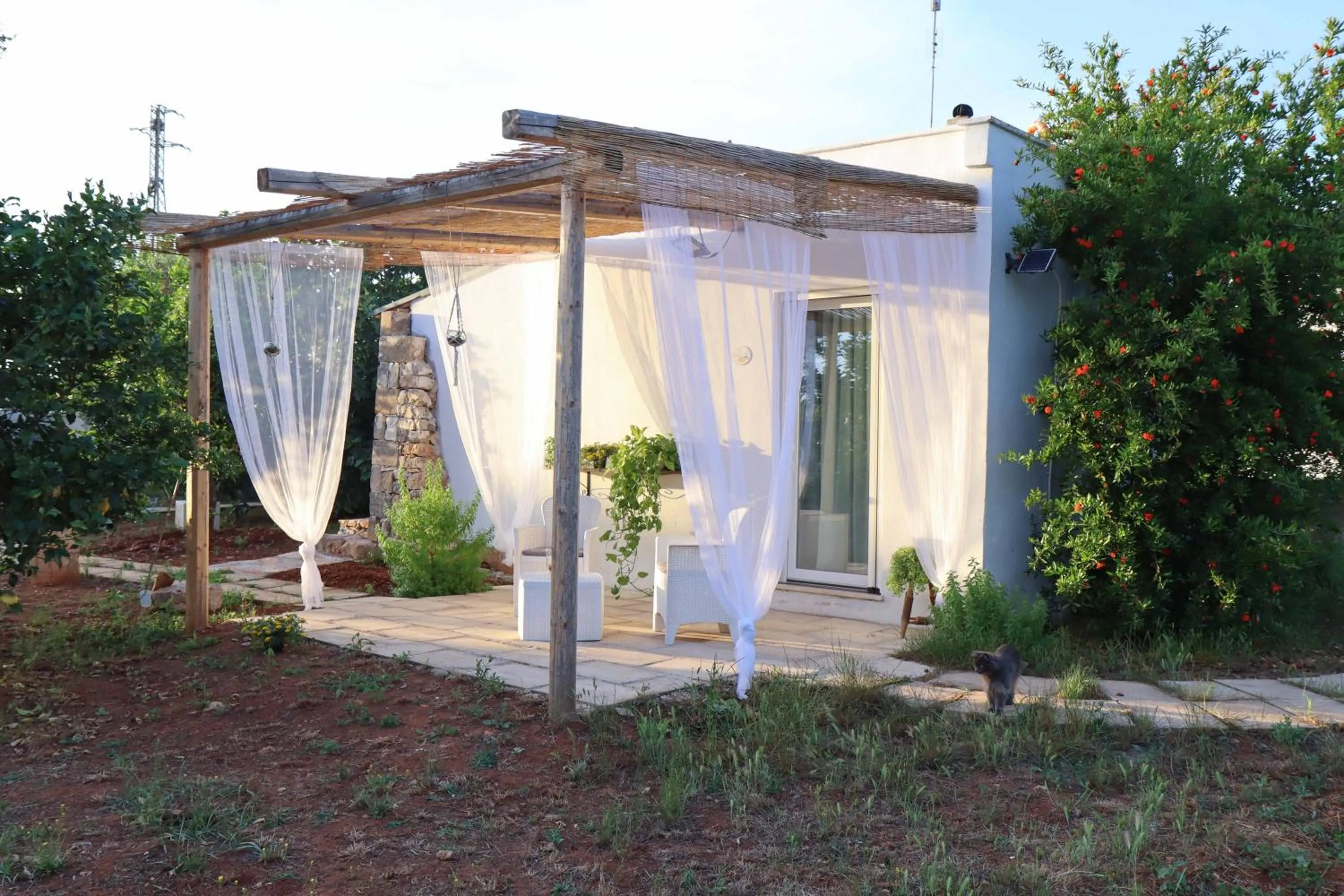 Garden in santa potenza