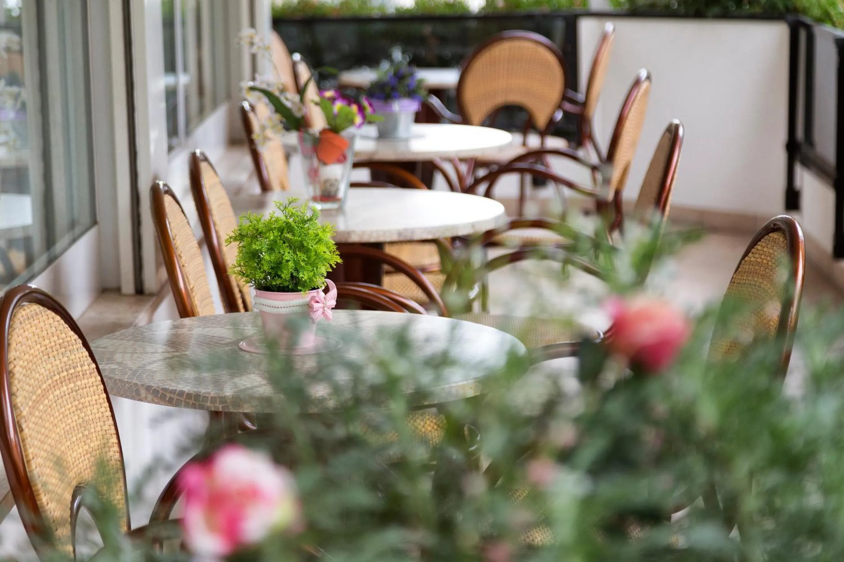Balcony/Terrace in Hotel Roby