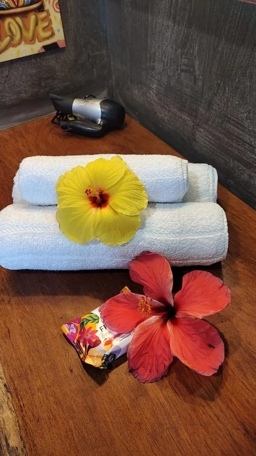 4 Elementos Guest House