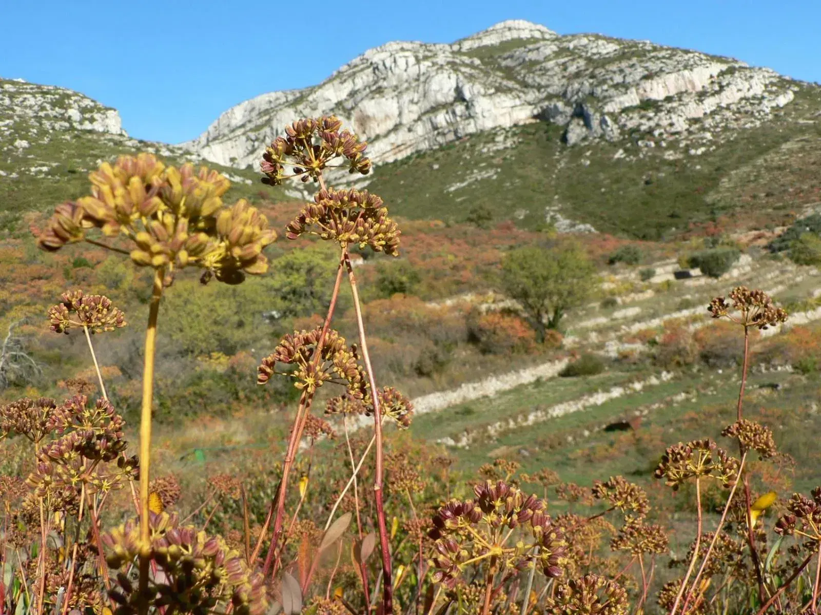 Autumn, Natural Landscape in Good Hôtel Marseille Aubagne - La Valentine