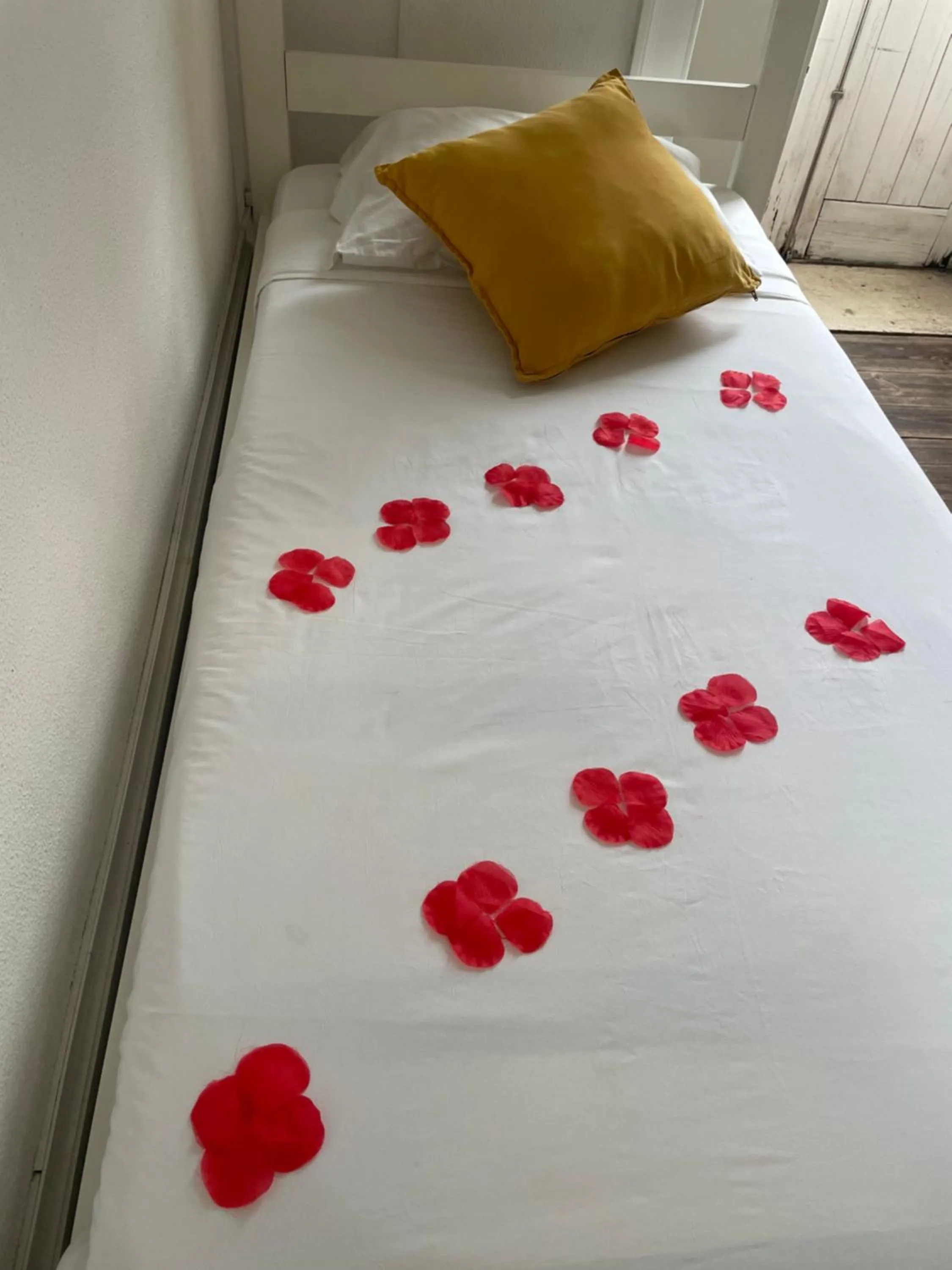 Bed in WW Hostel & Suites