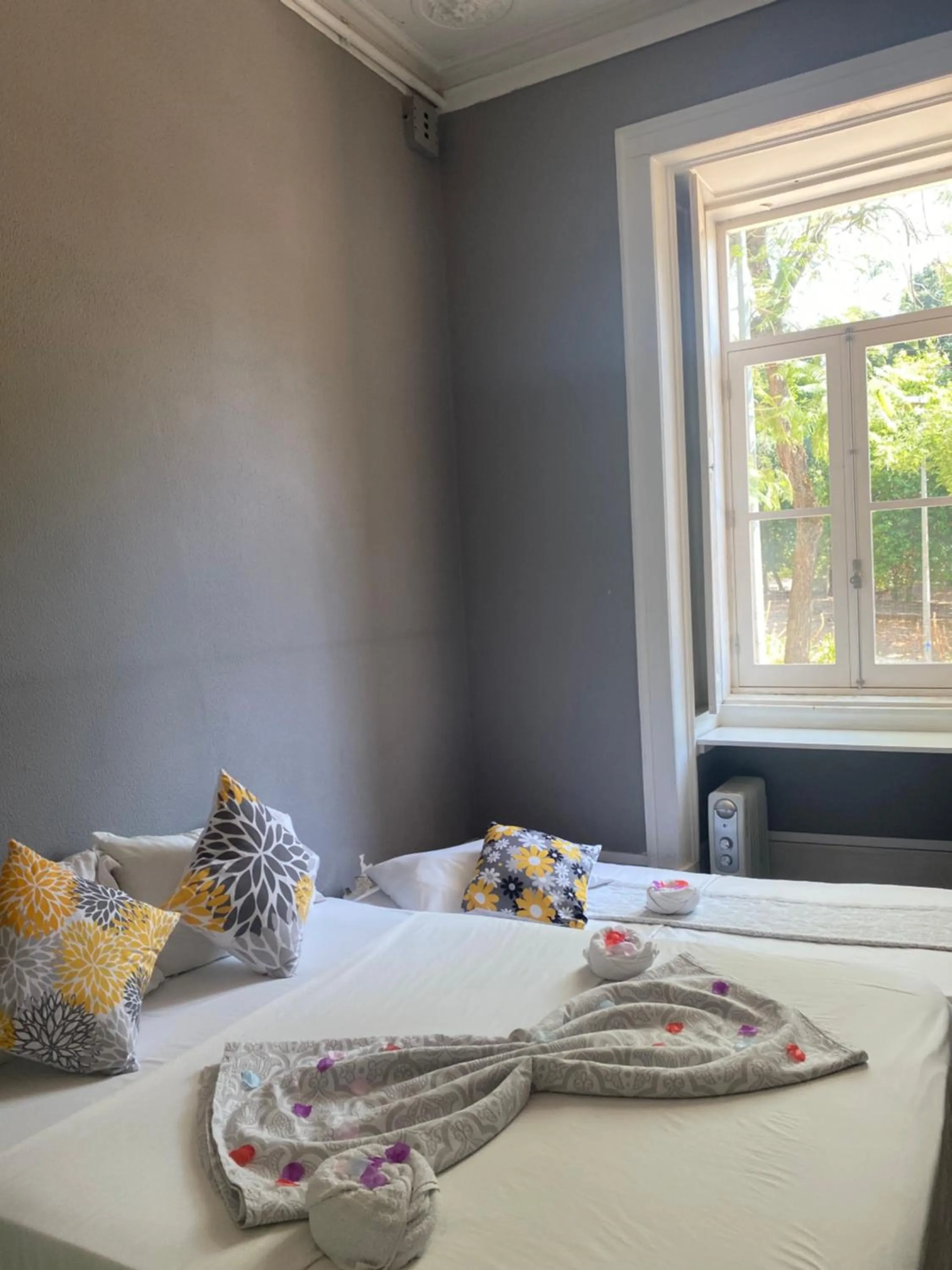 Bed in WW Hostel & Suites