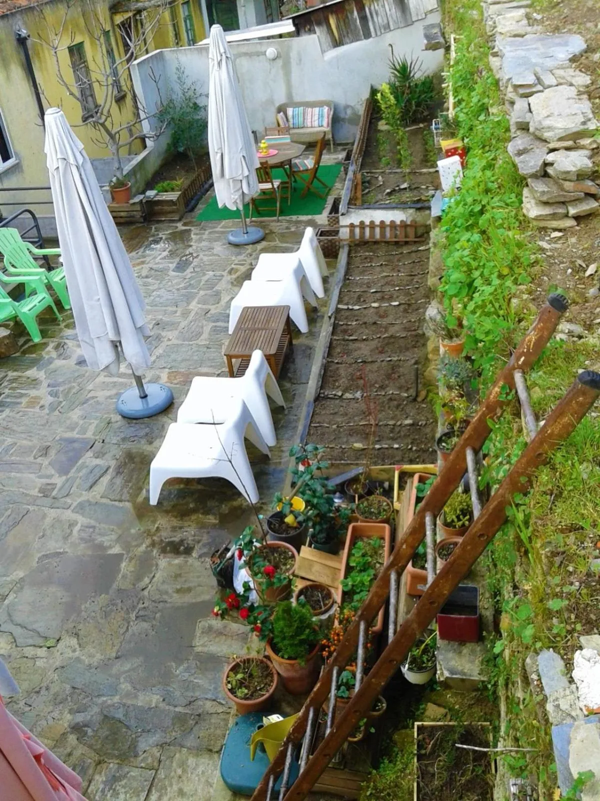 Garden in Casas Botelho Elias