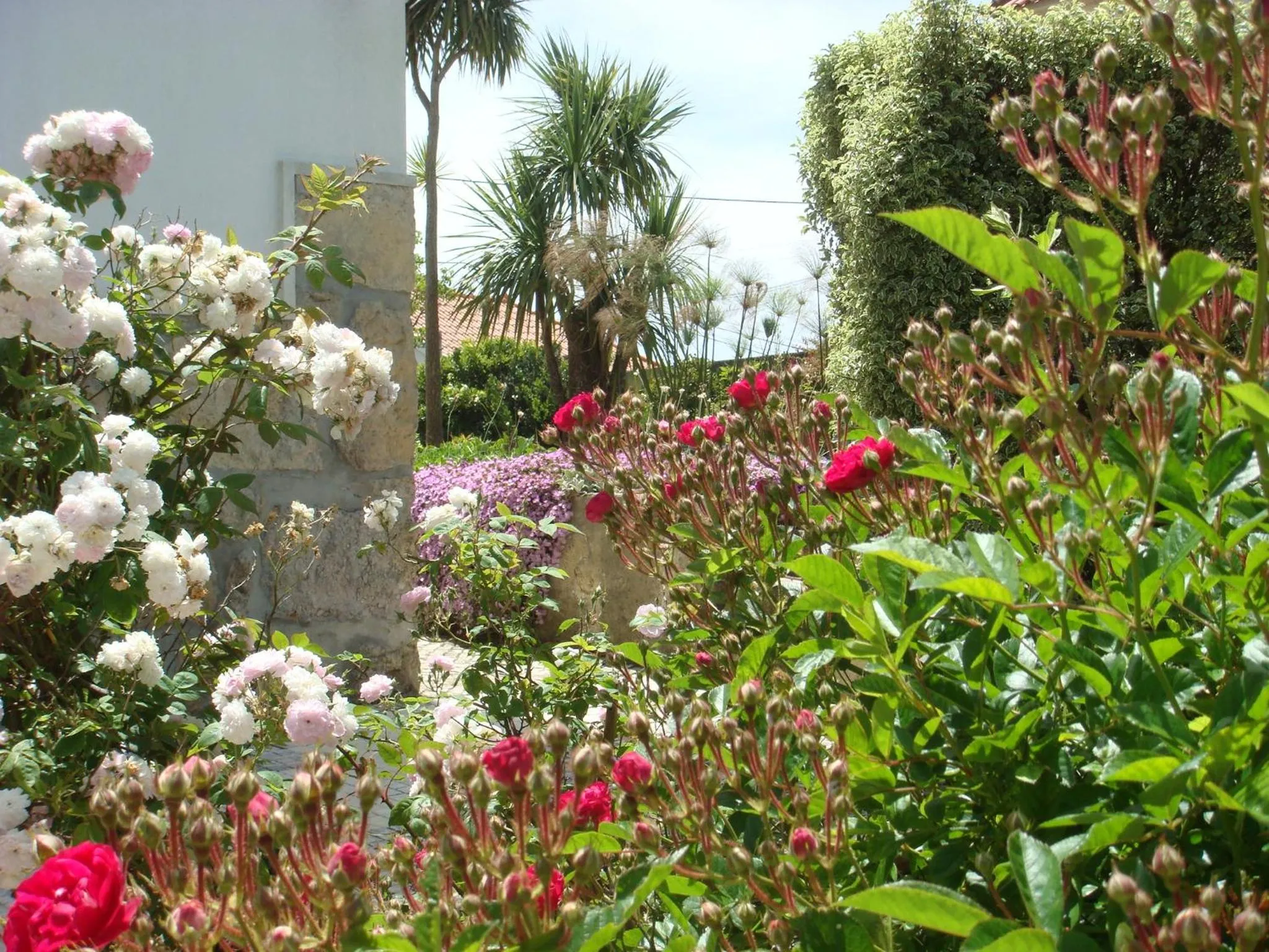 Natural landscape in Casa De Hospedes Flor Do Jardim