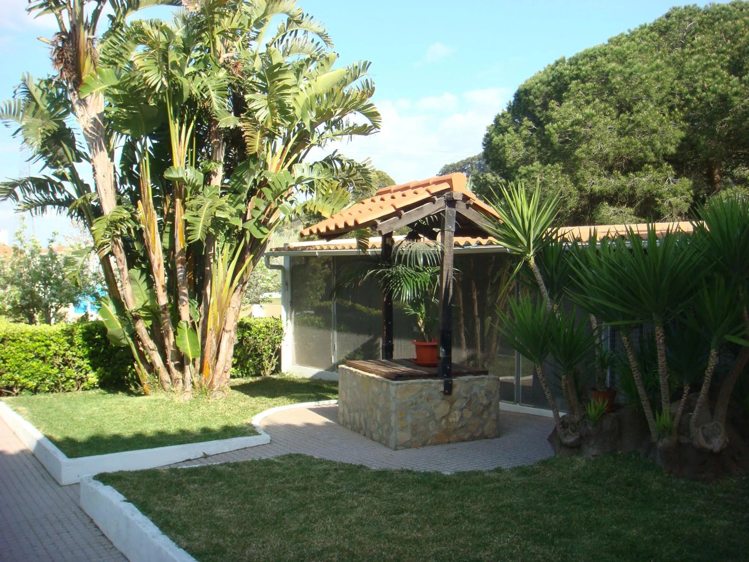 Garden in Casa De Hospedes Flor Do Jardim