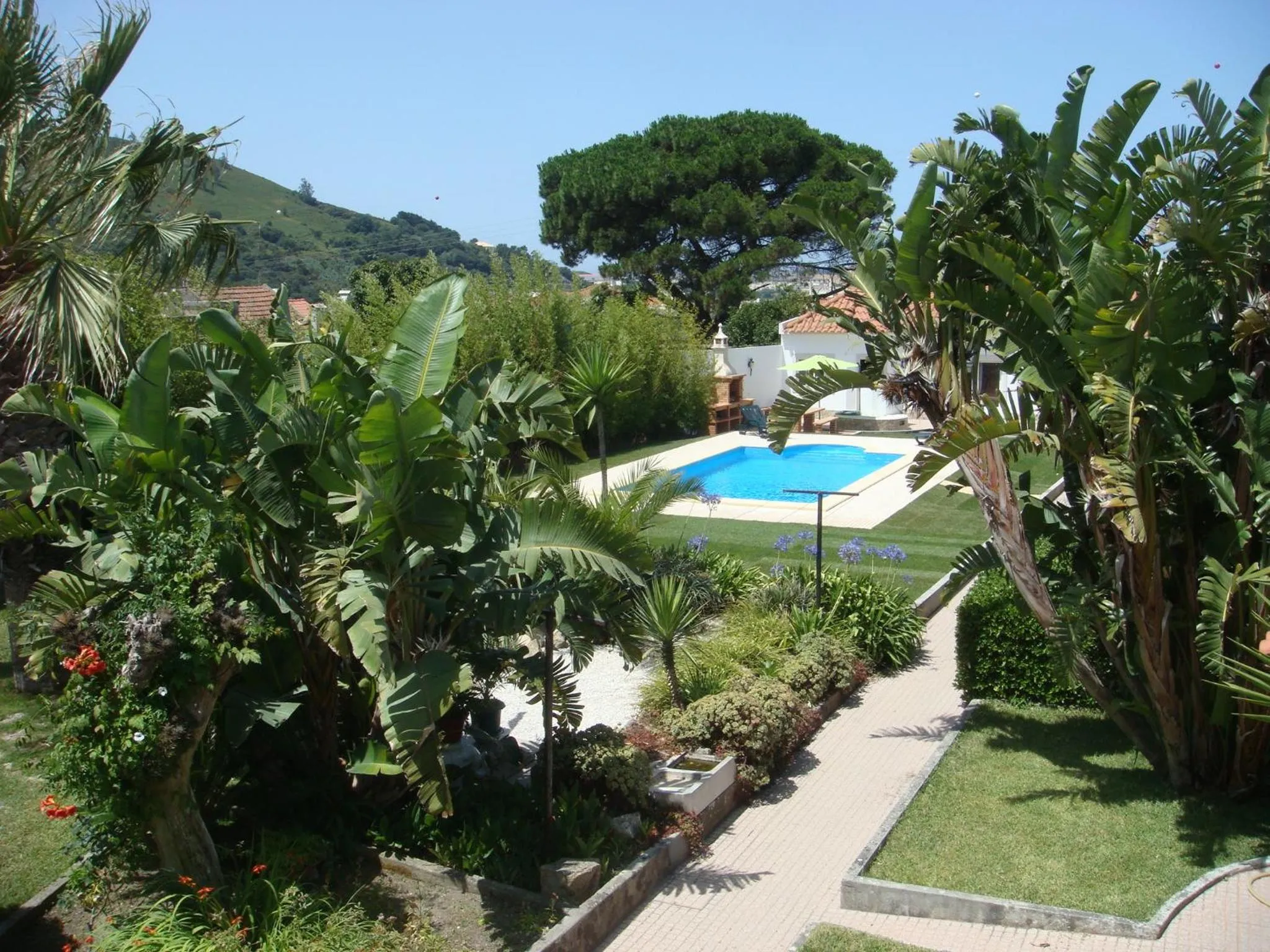 Natural landscape in Casa De Hospedes Flor Do Jardim