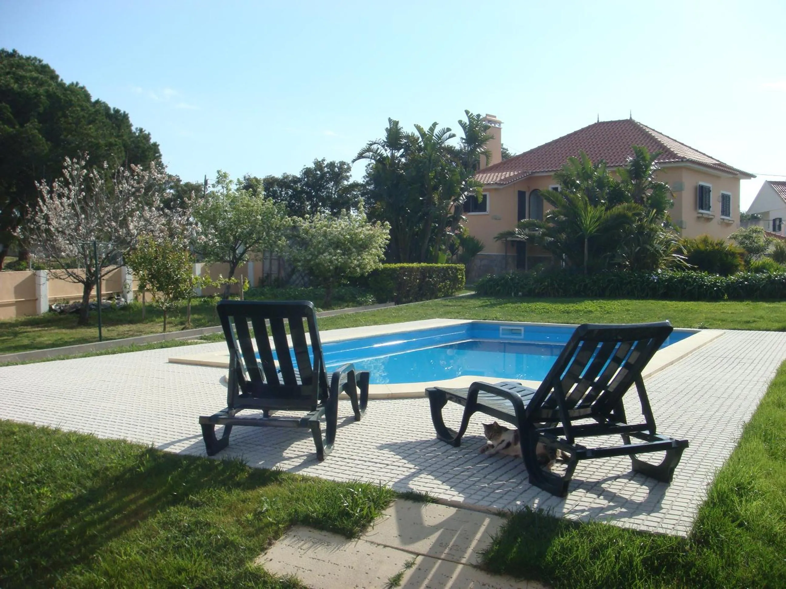 Pool view in Casa De Hospedes Flor Do Jardim