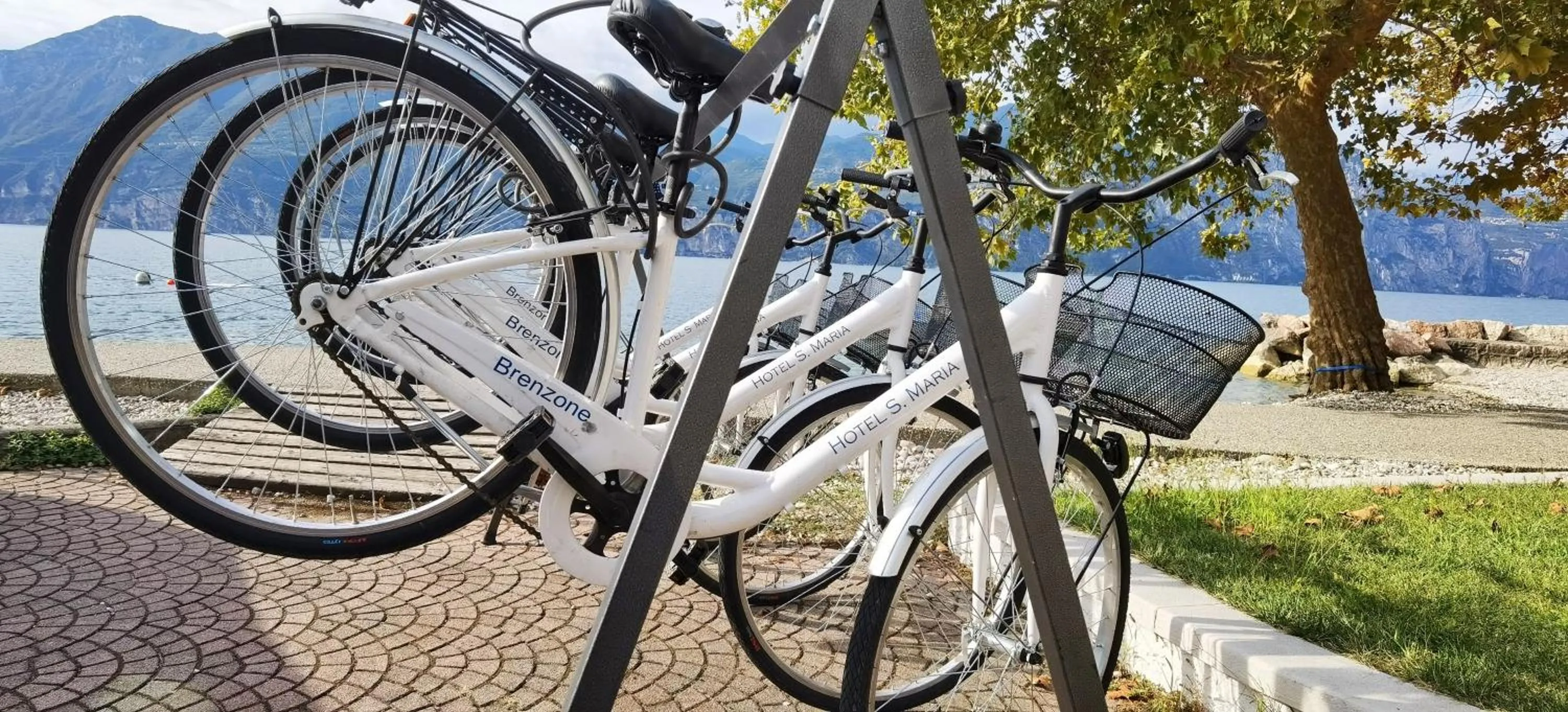 Cycling in Hotel S.Maria