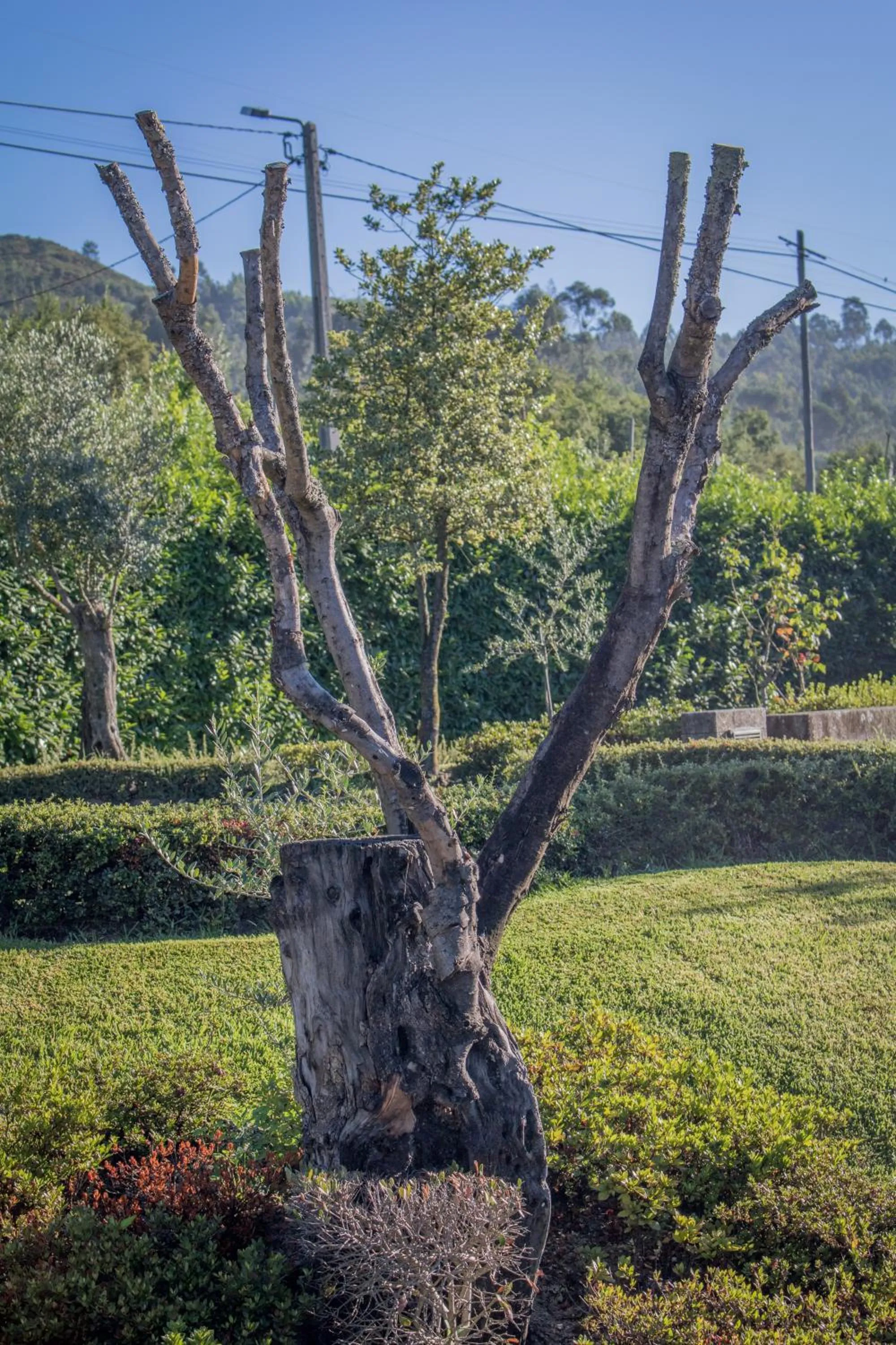 Quinta da Eira do Sol