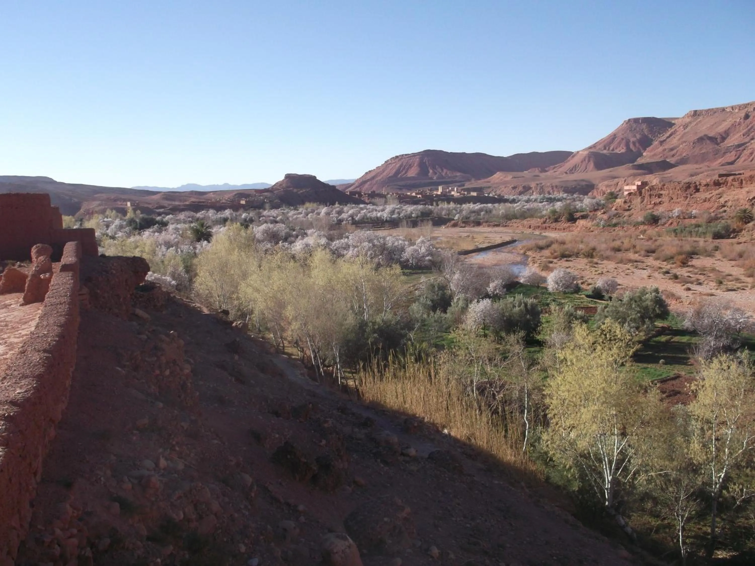 Garden in Kasbah Ounila