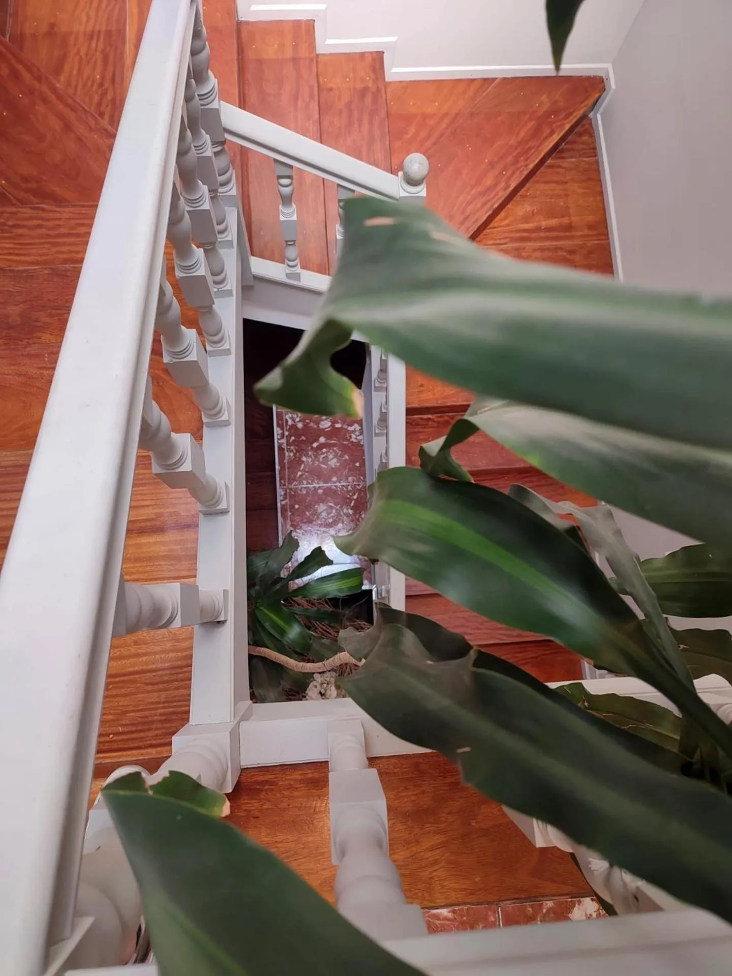 Area and facilities in Vila Hotel By VimaHotels