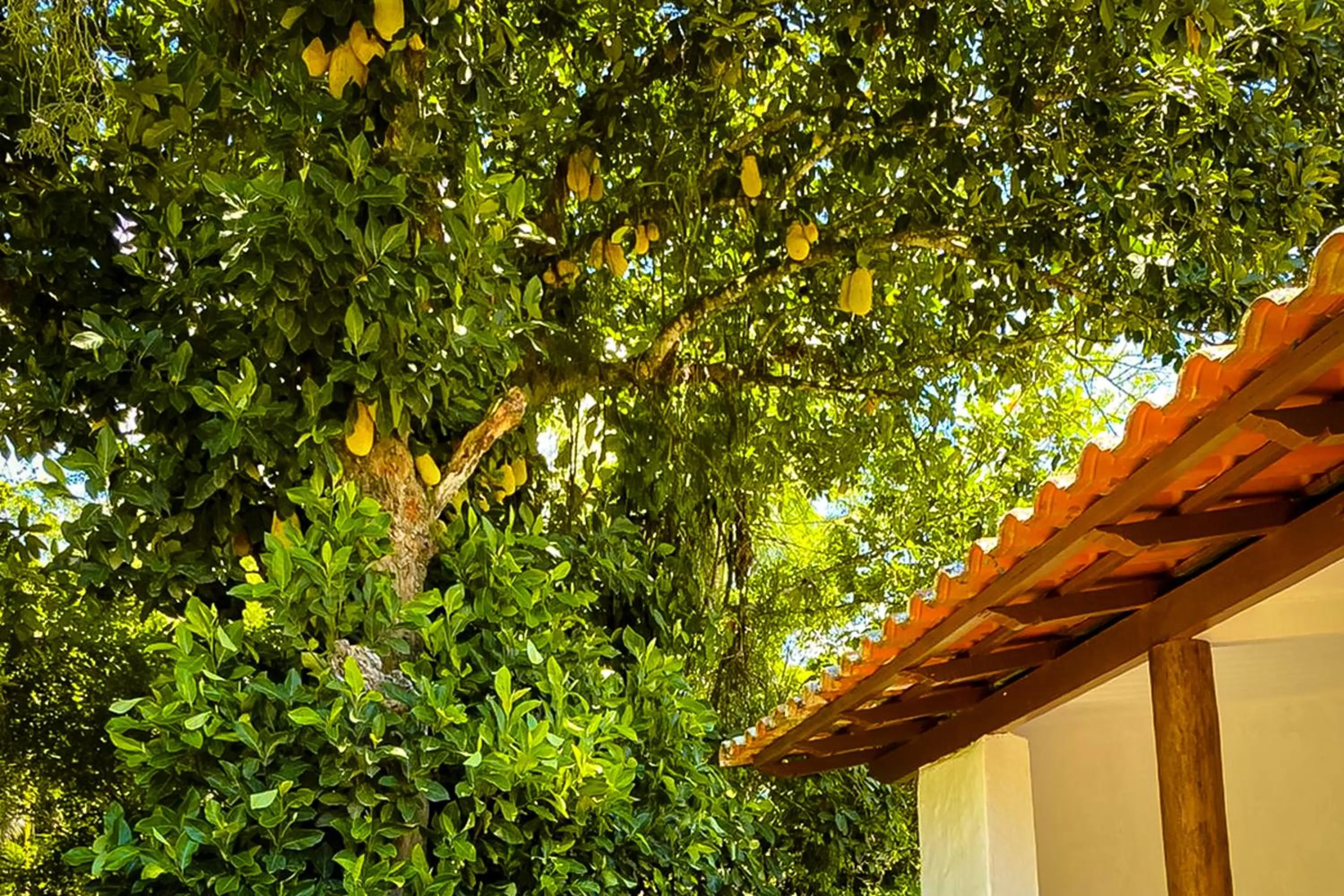 Natural landscape in VELINN Pousada Bromelias