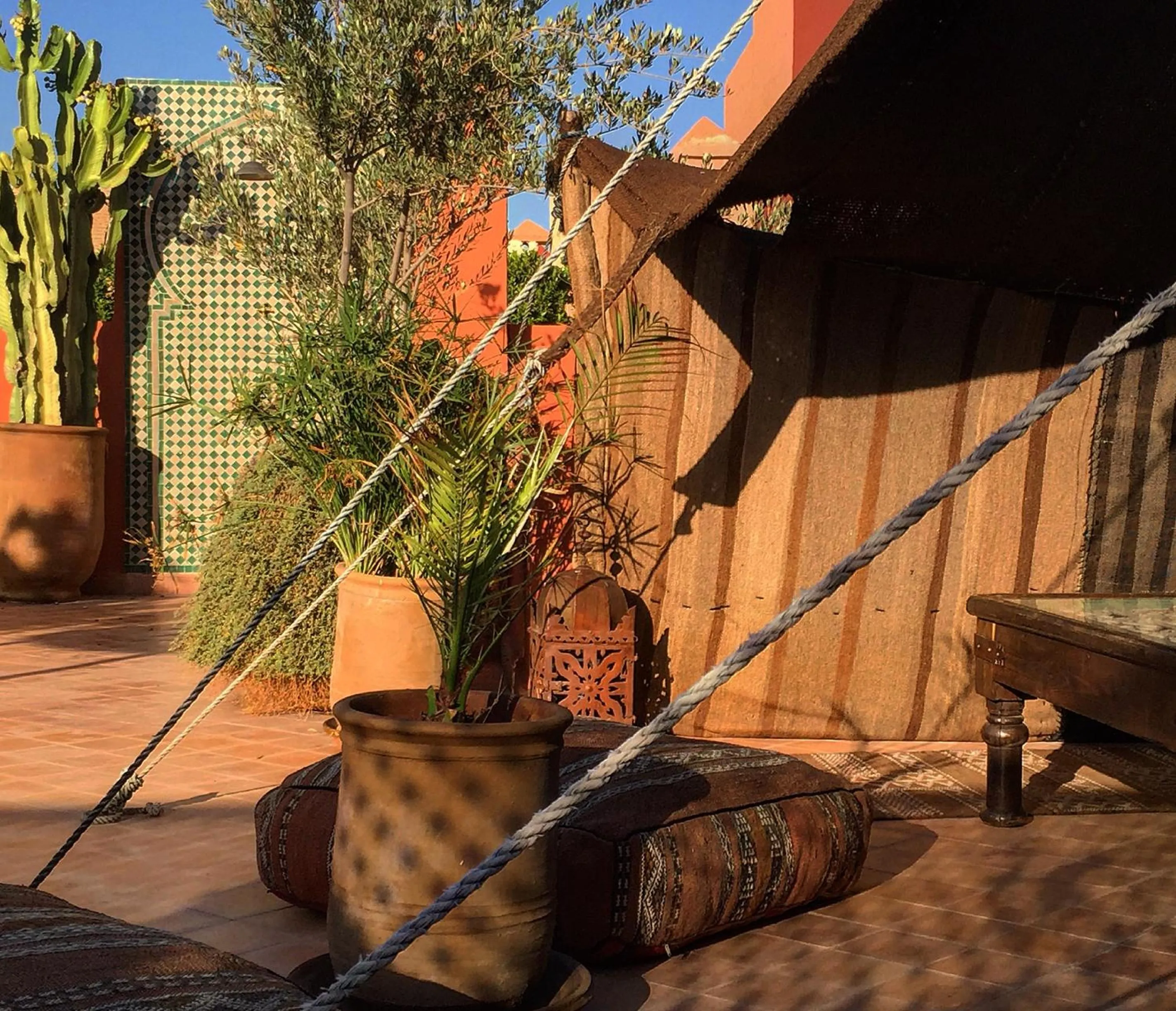 Garden view in Riad Palacio De Las Especias