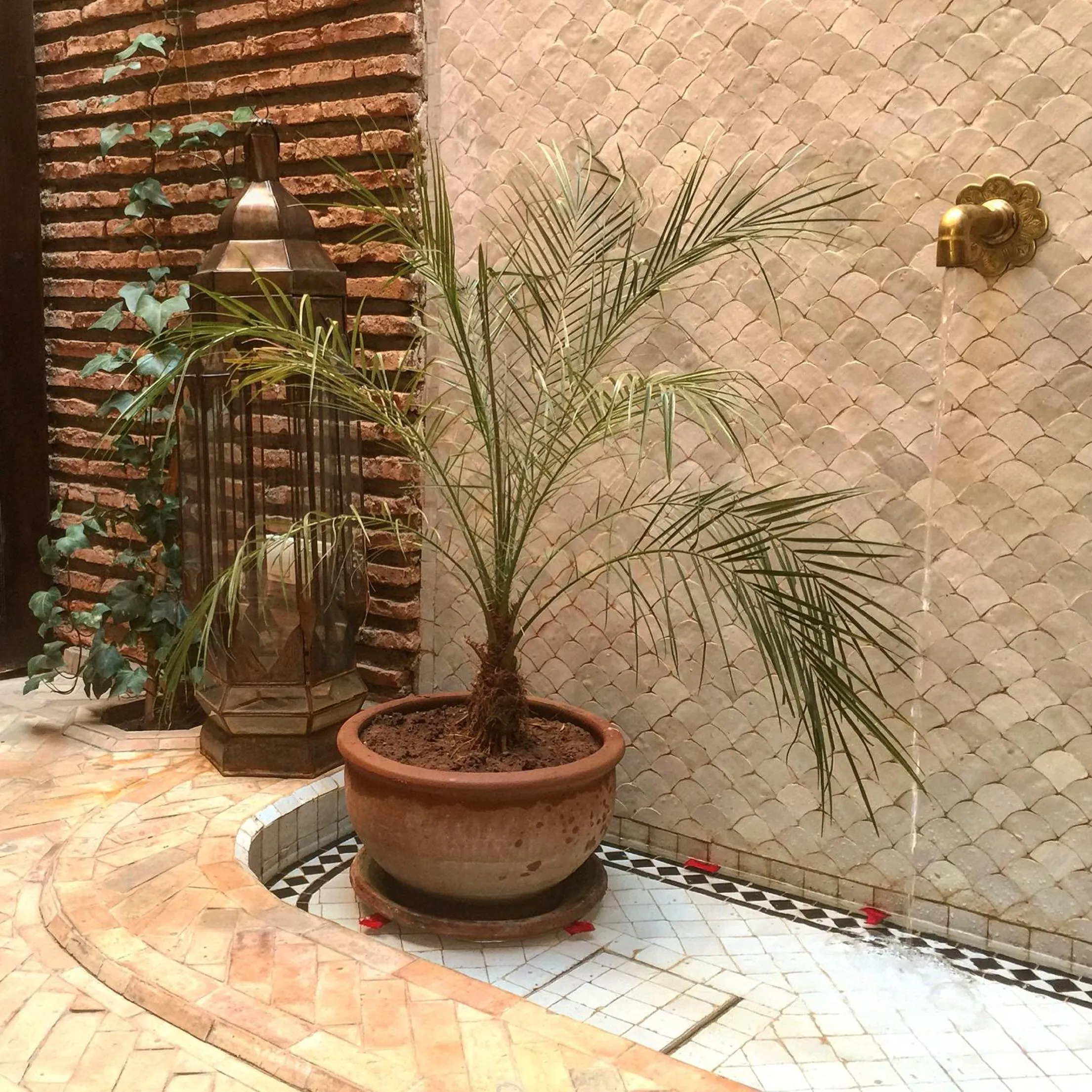 Facade/entrance in Riad Palacio De Las Especias