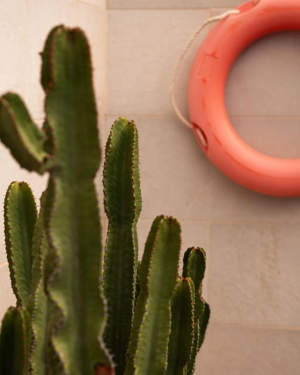 Decorative detail in Fiftyfour West Boutique Living